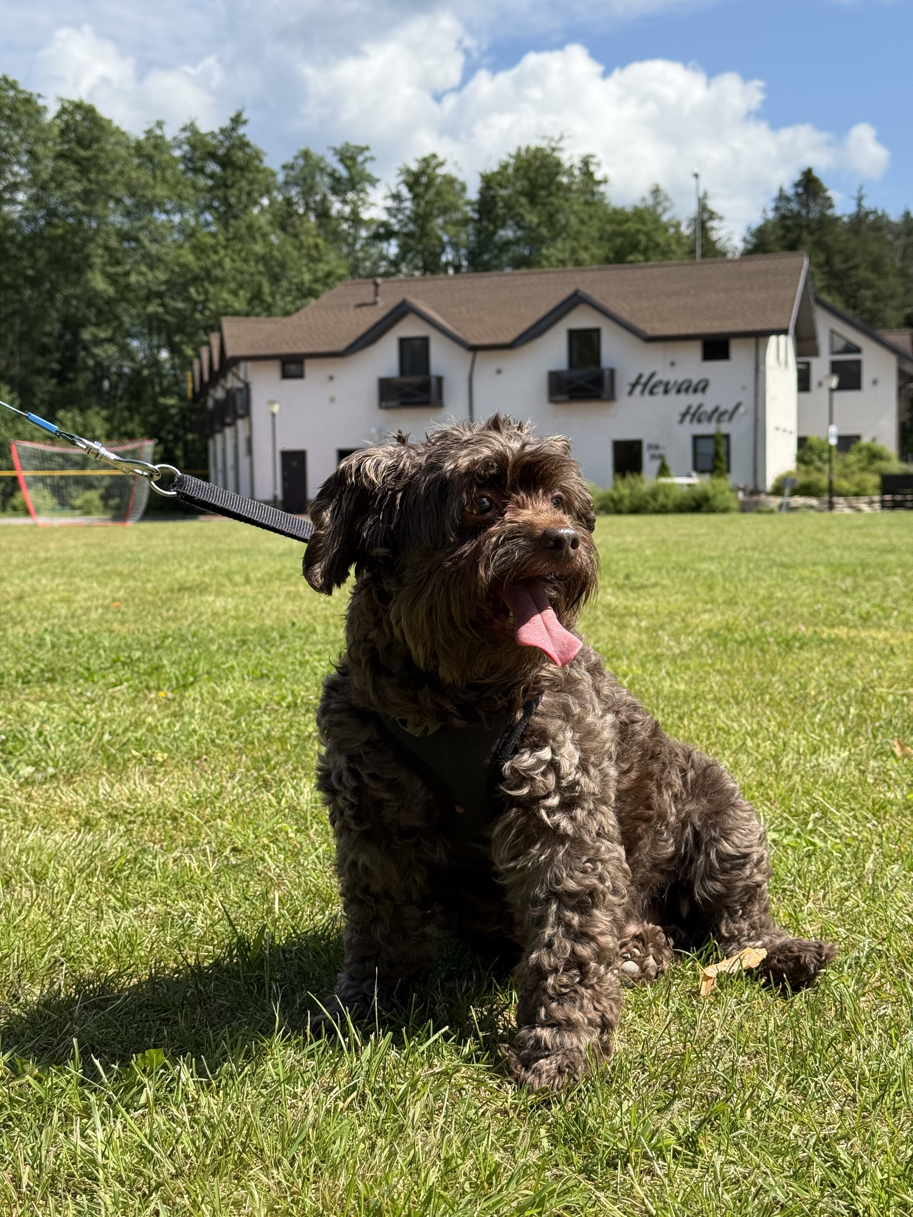 Фото Территория отдыха Hevaa