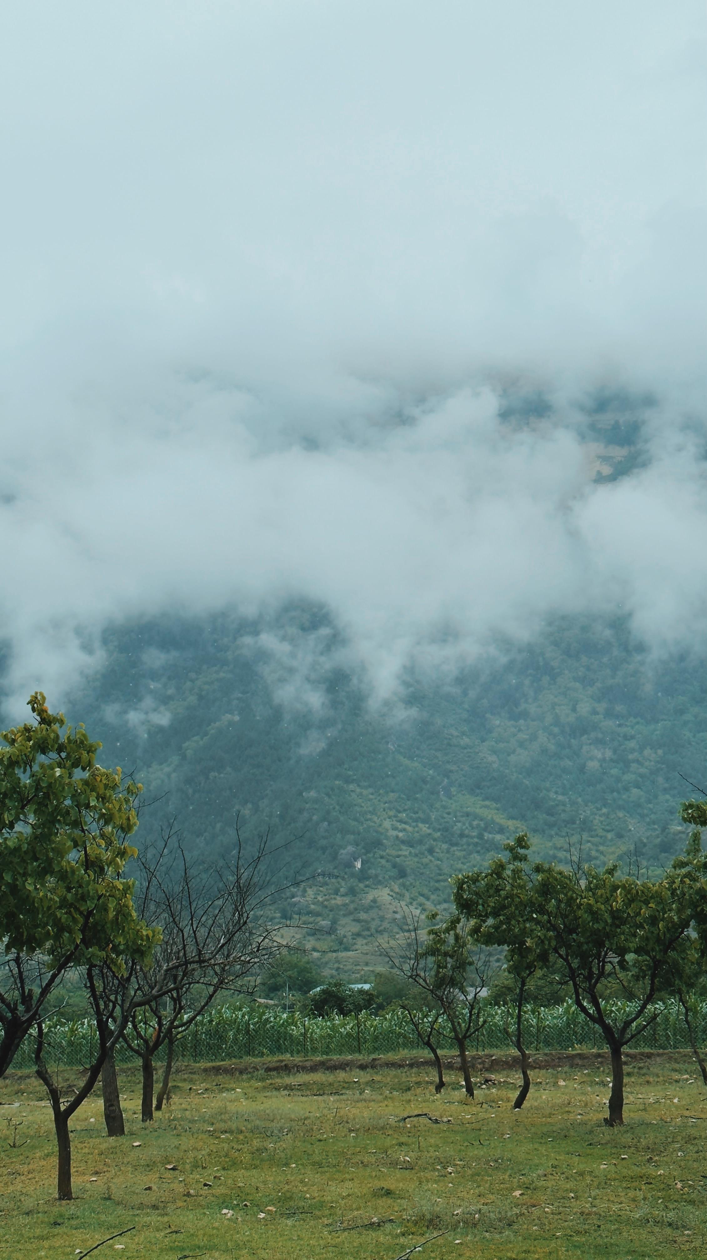 Фото Счастье в горах
