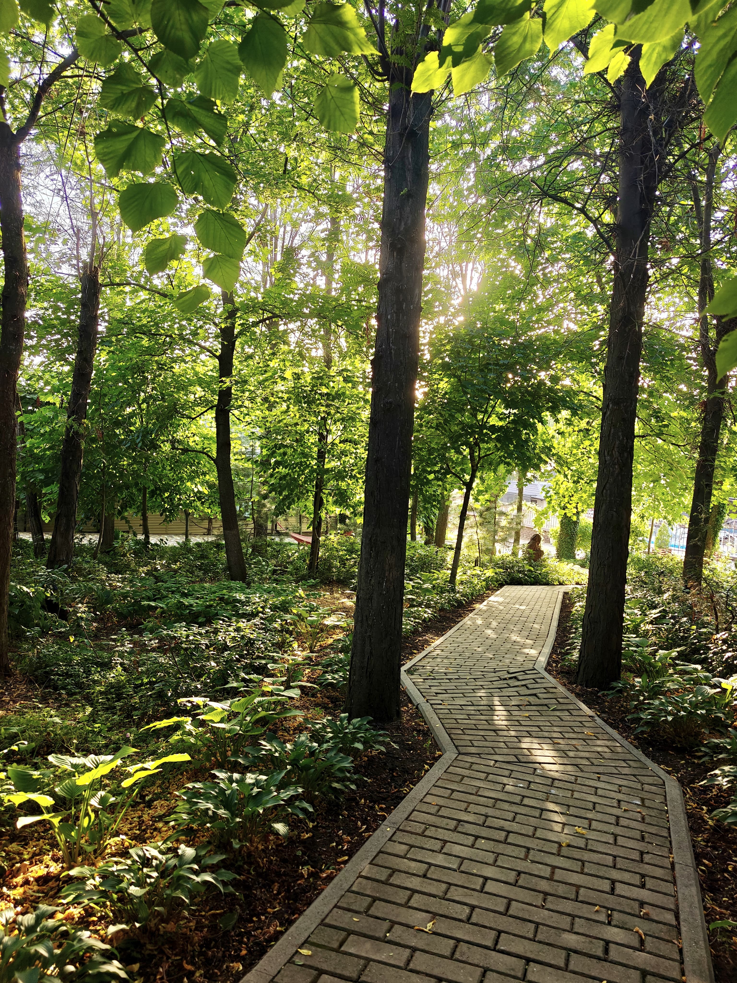 Фото Берег солнца