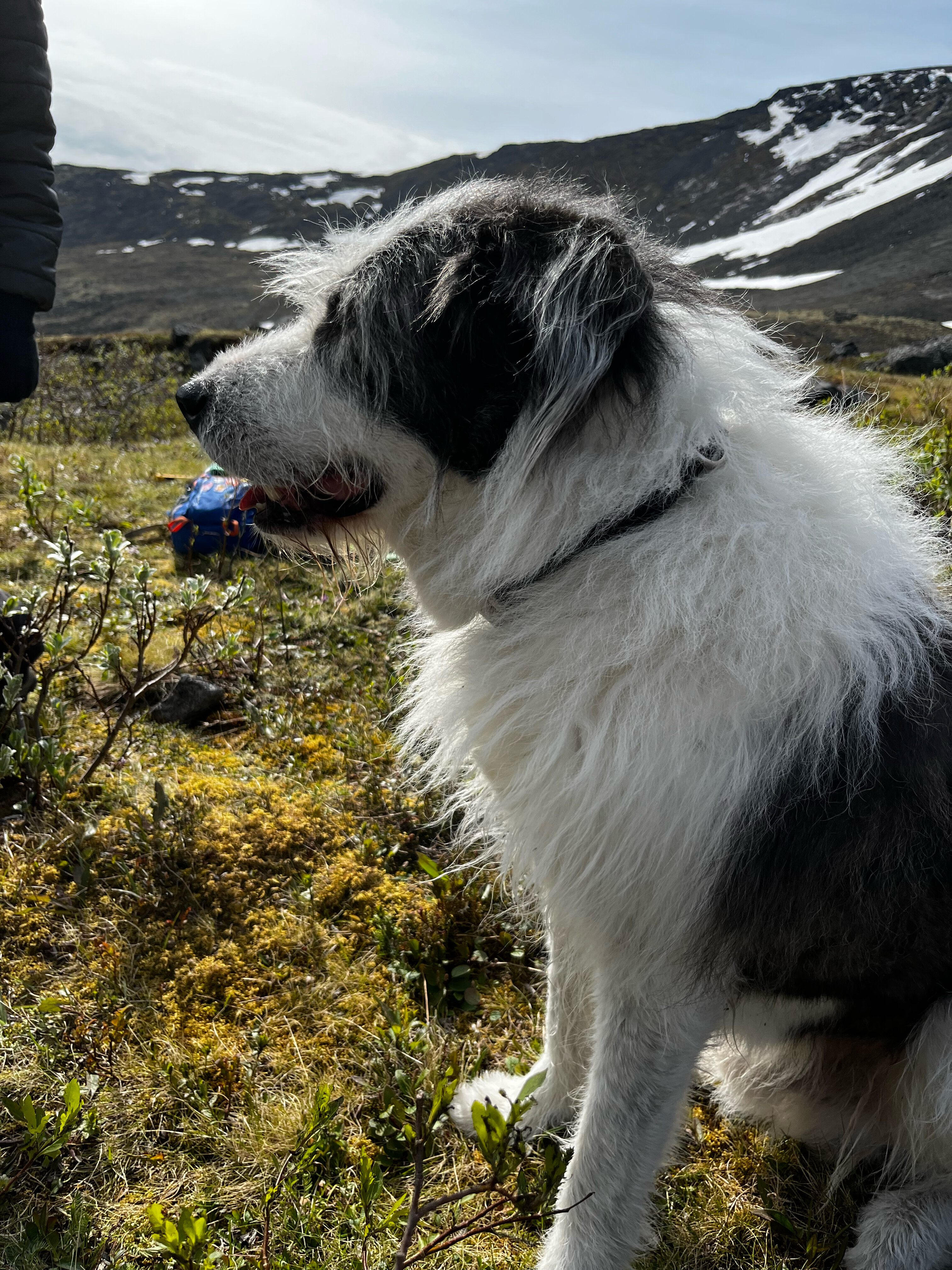 Фото Акка Книбекайзе