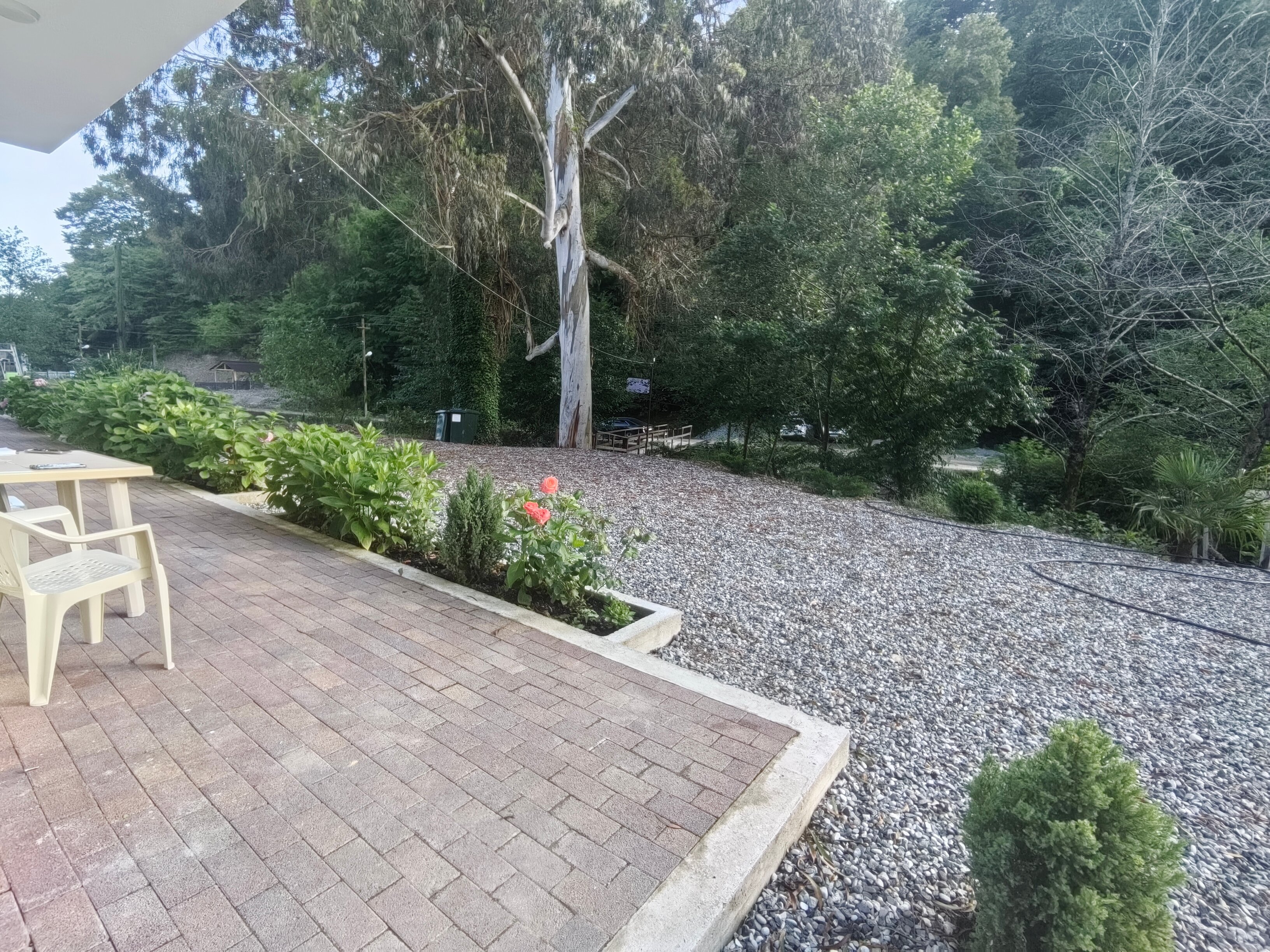 Фото Villa Monte