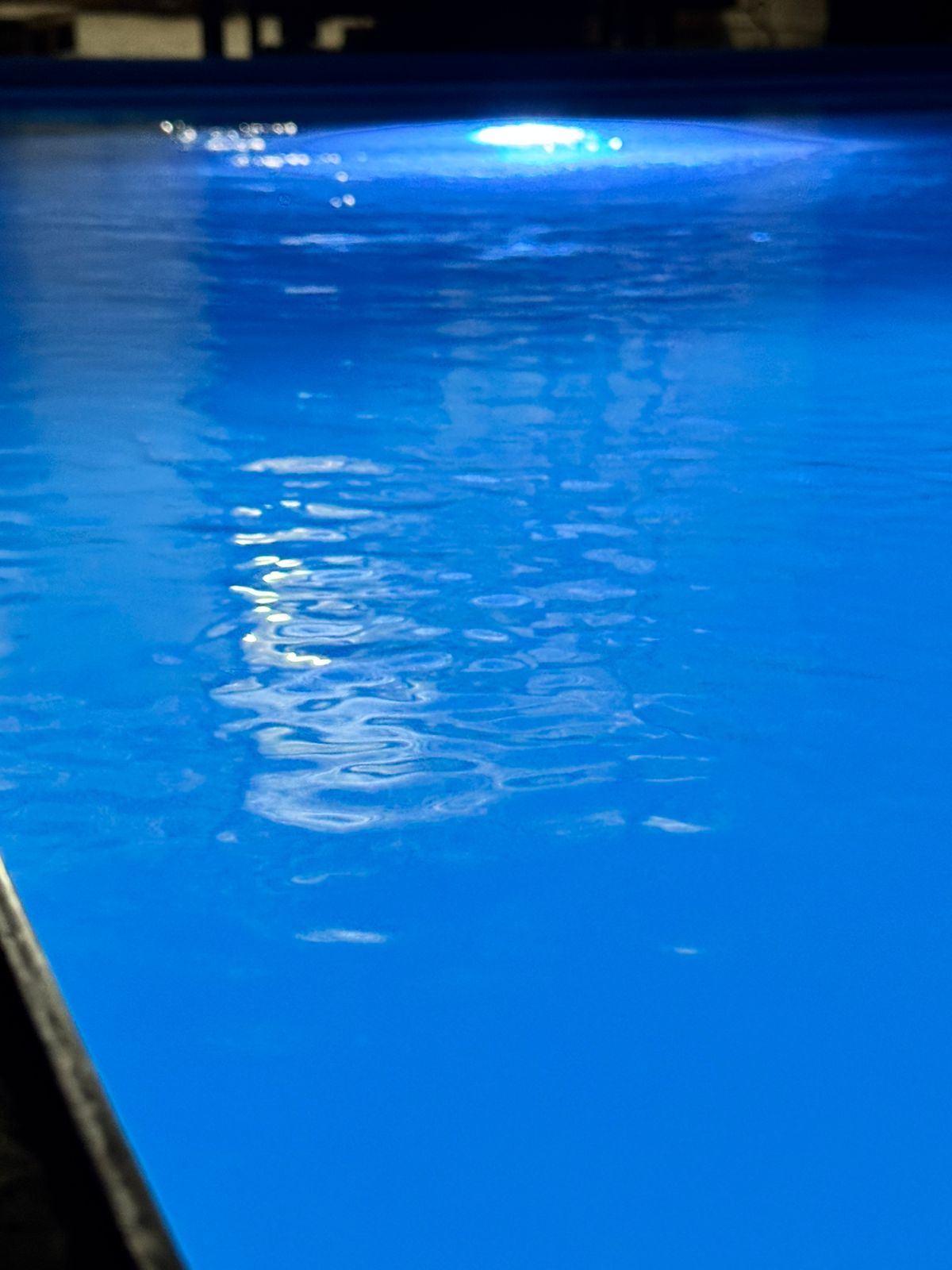 Фото Верони