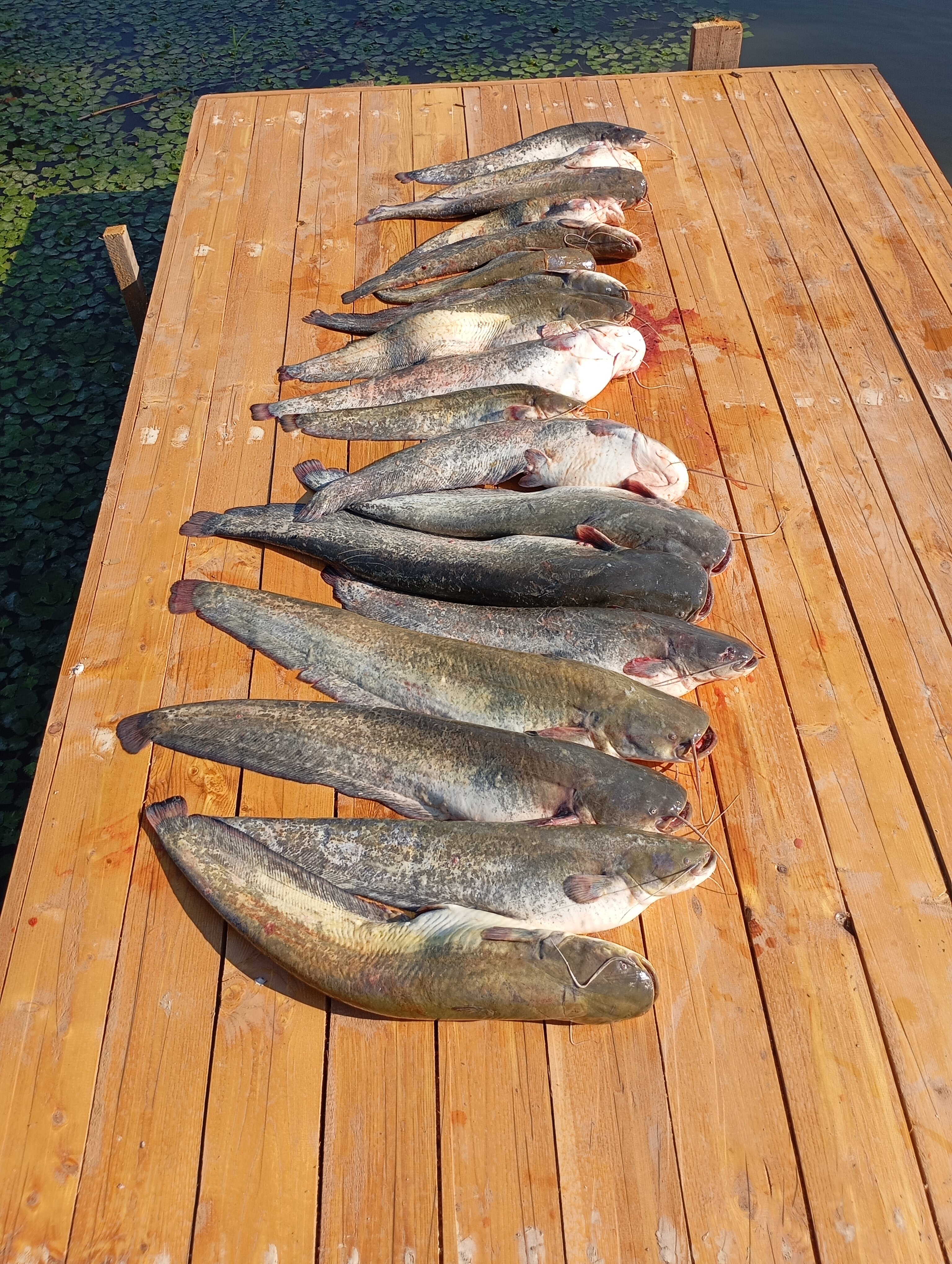 Фото Тортуга