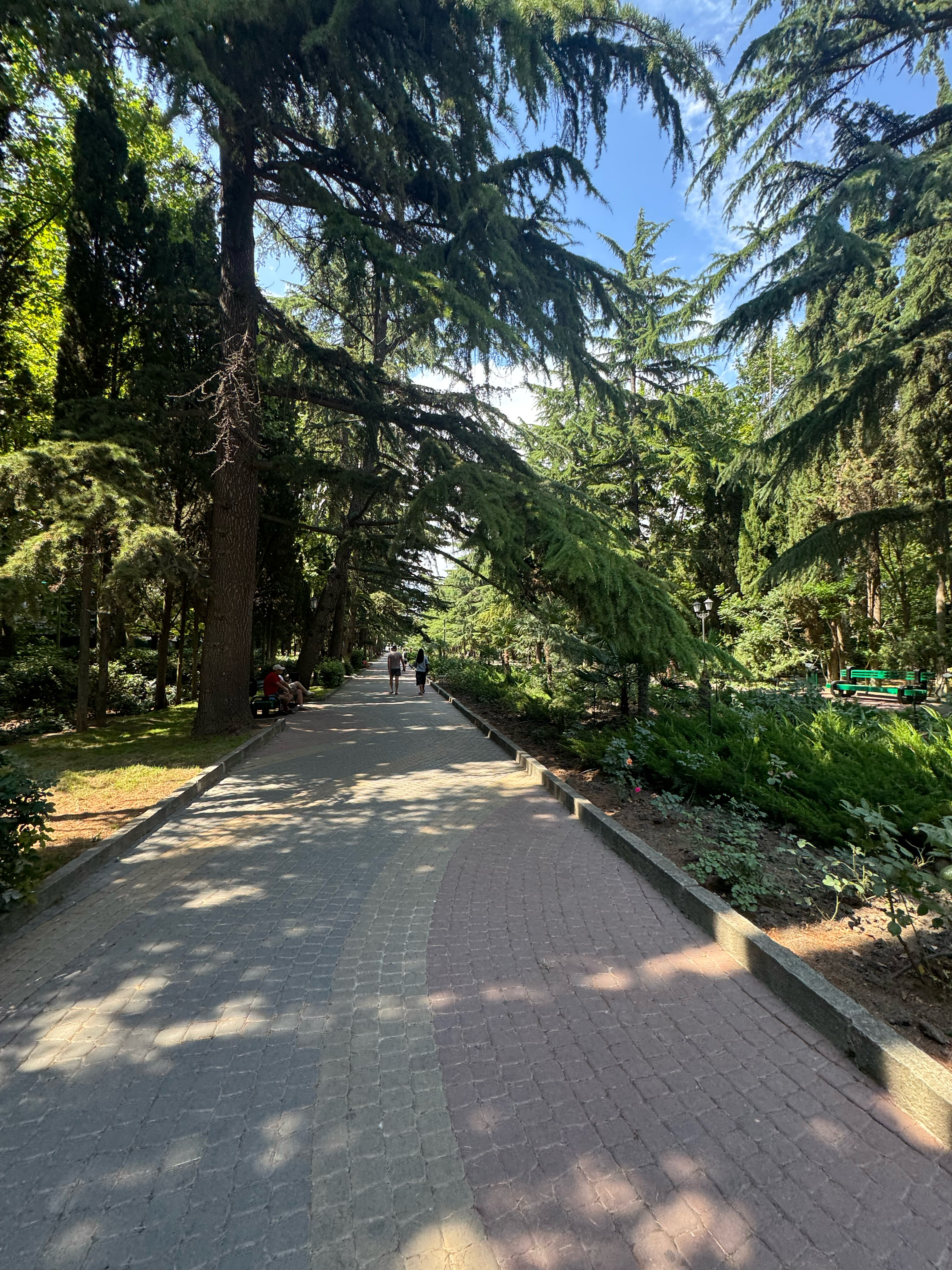 Фото История