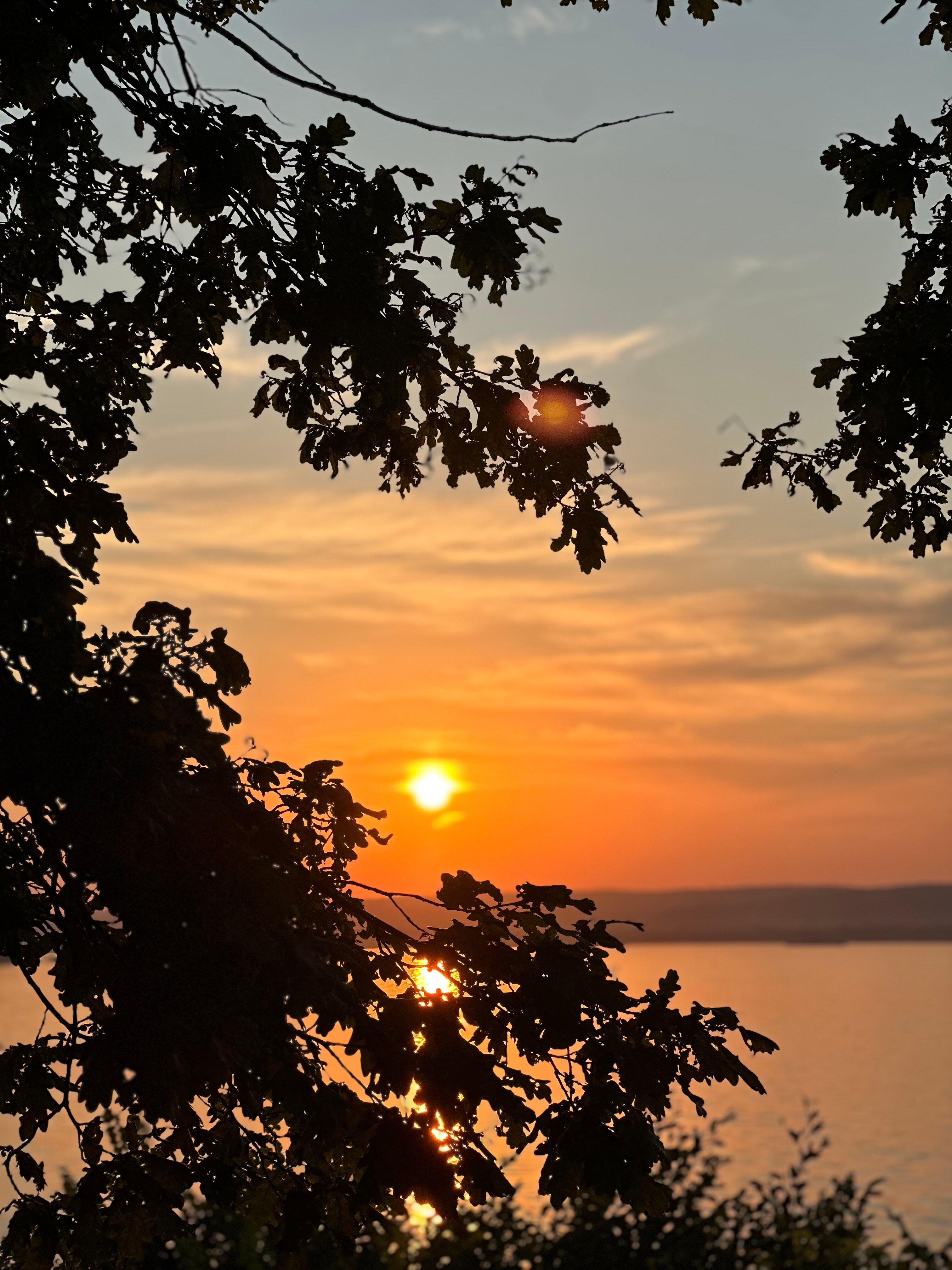 Фото Место под солнцем