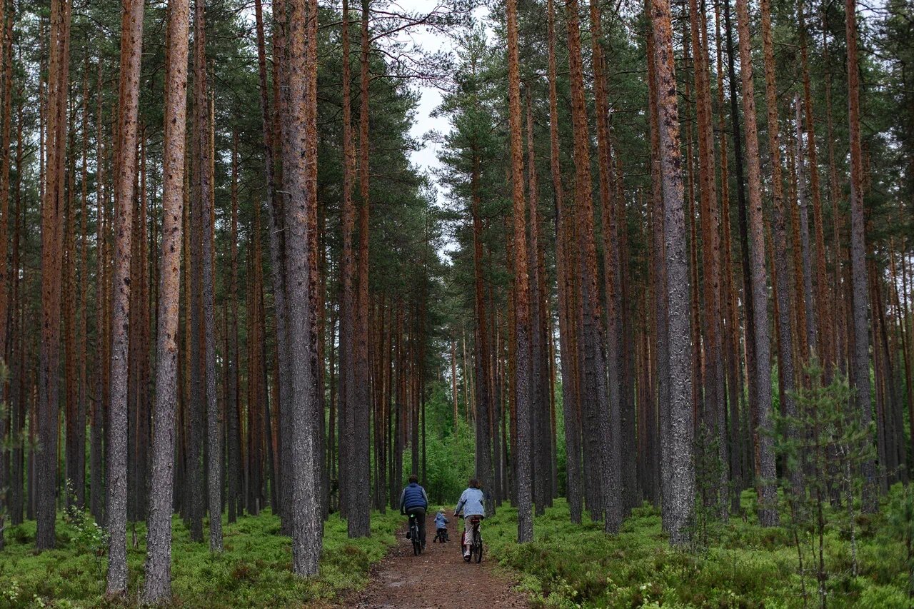 Фото Аквамарин