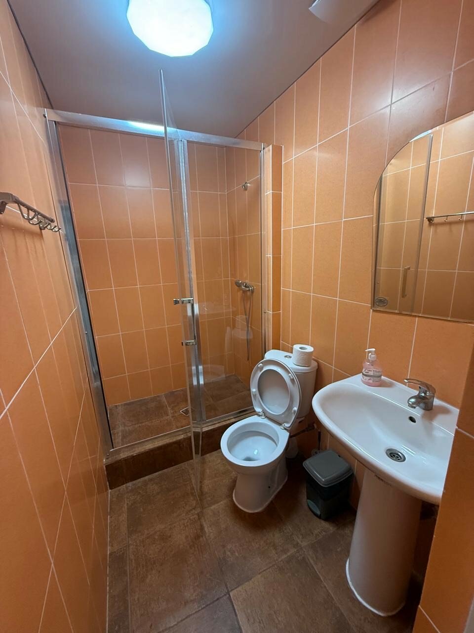 Фото Пальма Финик