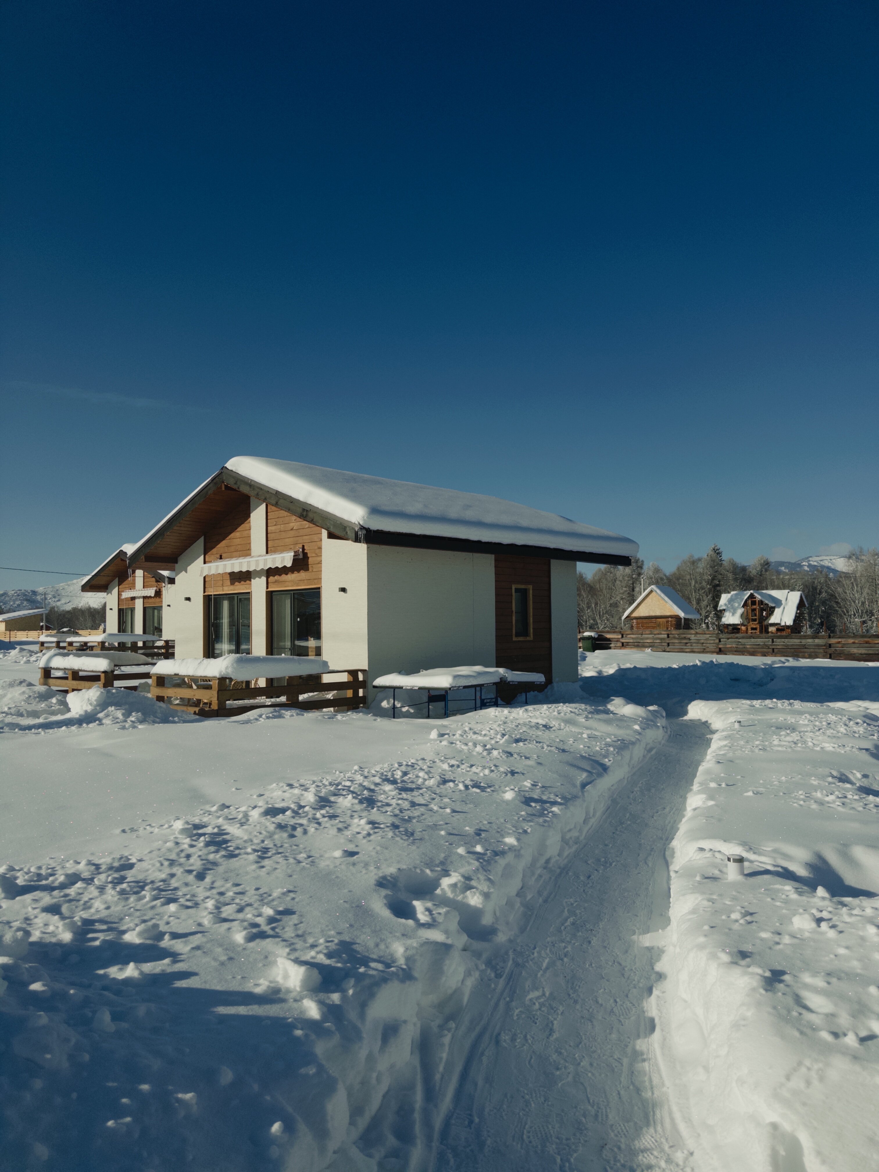 Фото Медуница