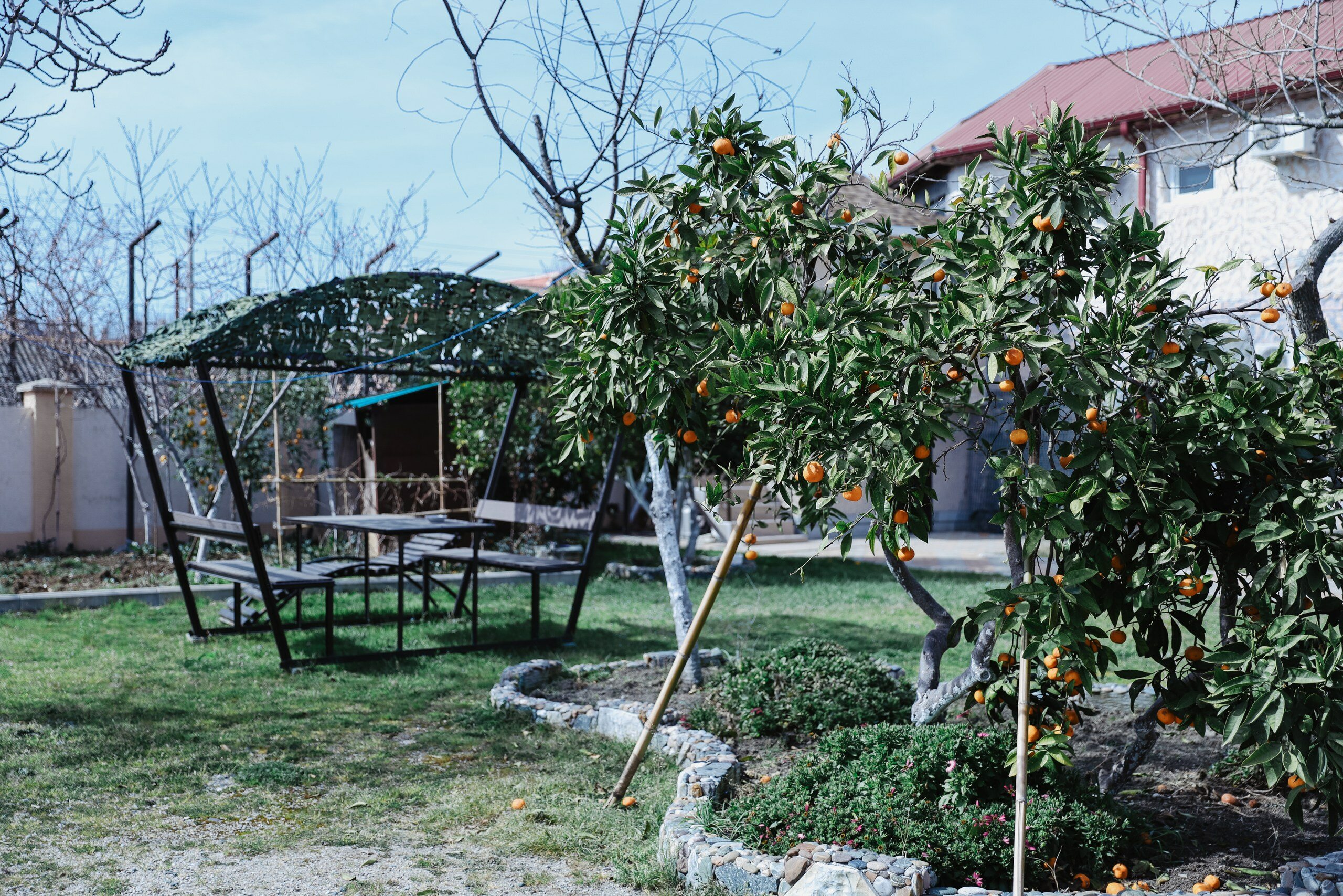 Фото Villa Verde