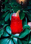 Lounge Bar 1845 (ulitsa Kirova, 25), hookah lounge