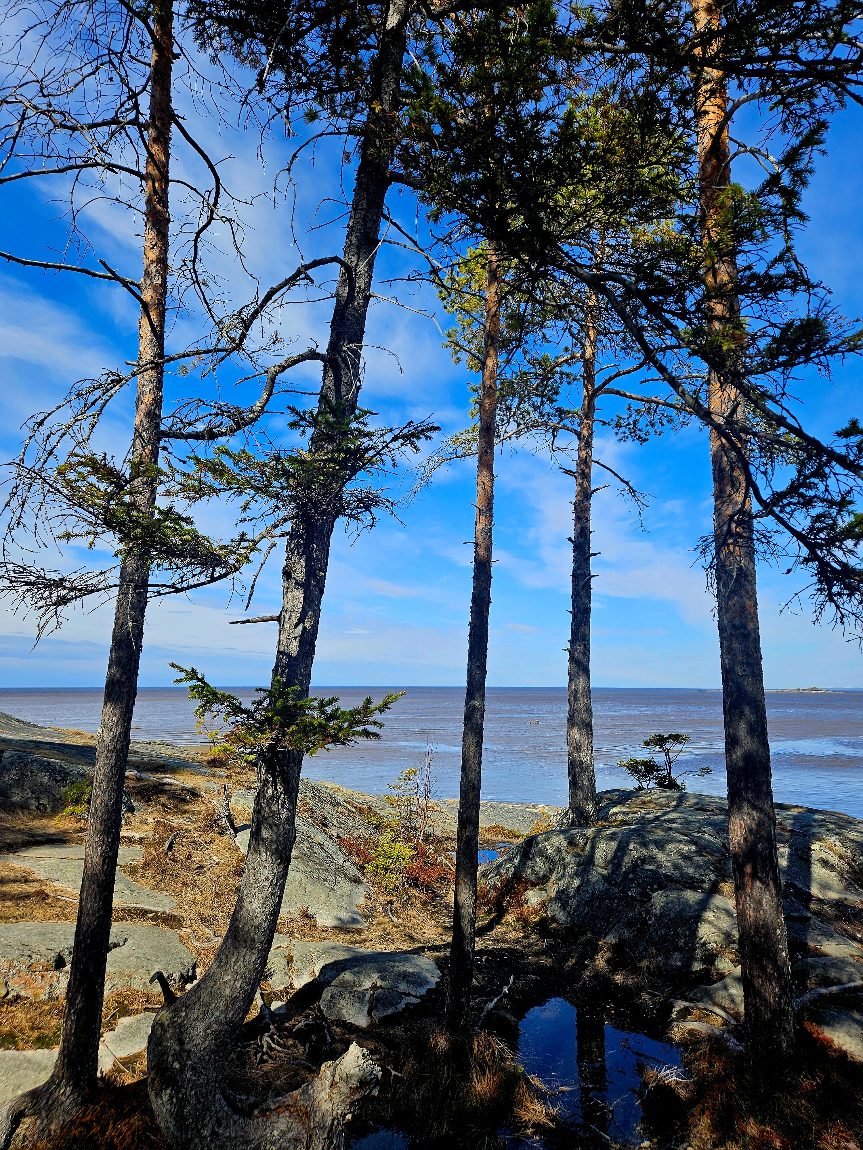 Фото ОнегаStory