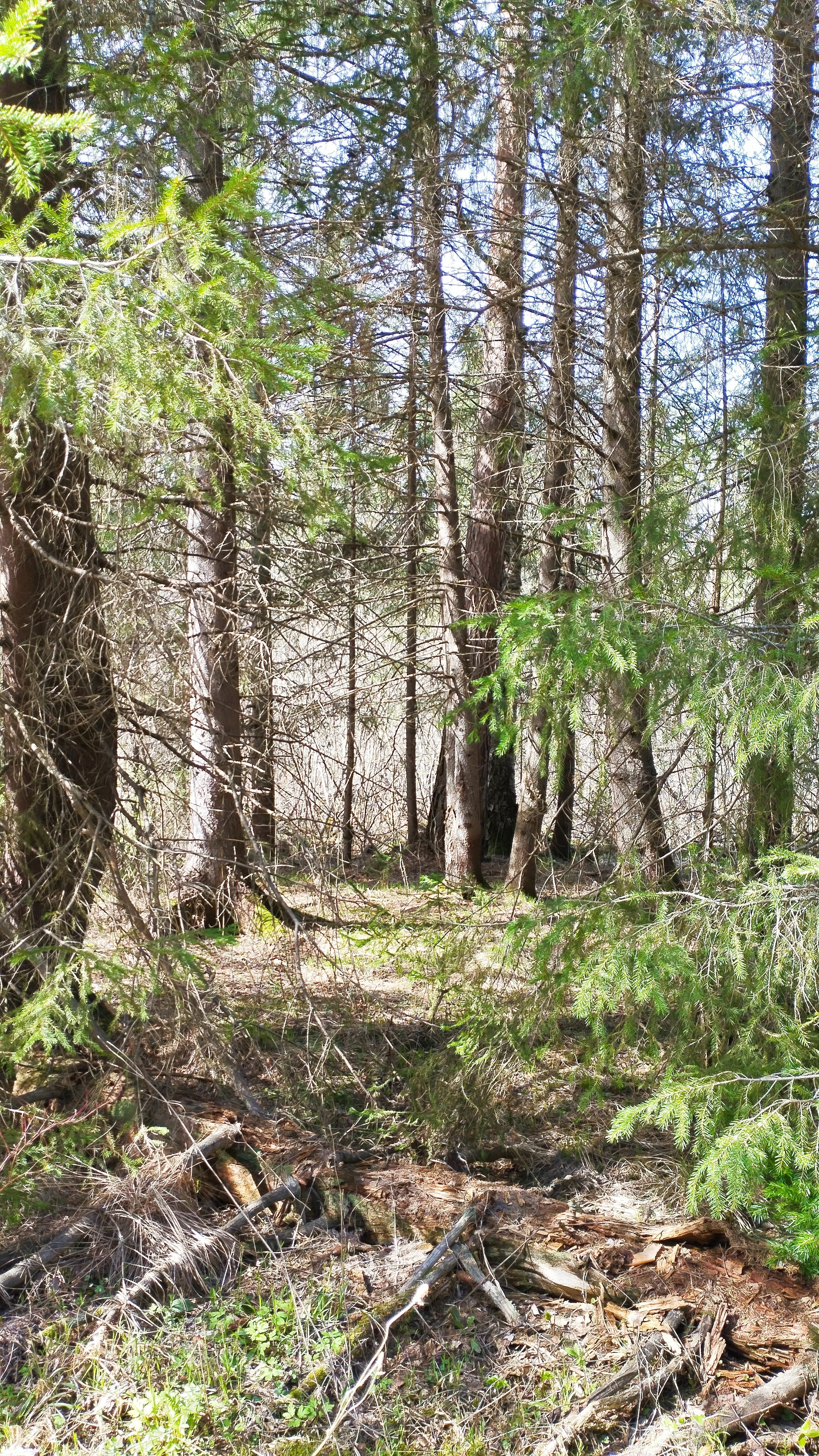 Фото Загородные дома Свято-Николаевской Слободы