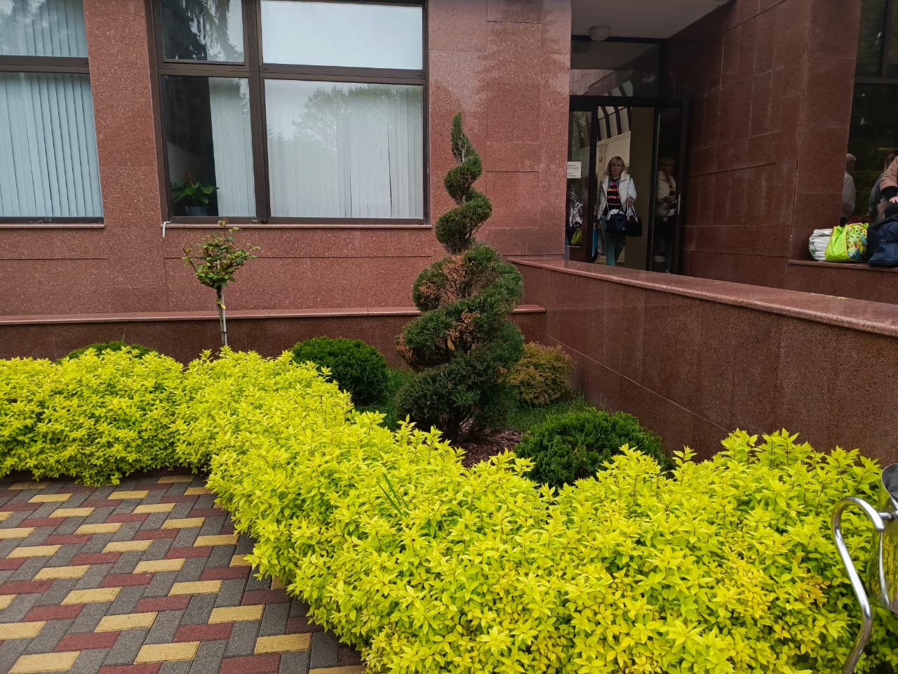 Фото Синдика