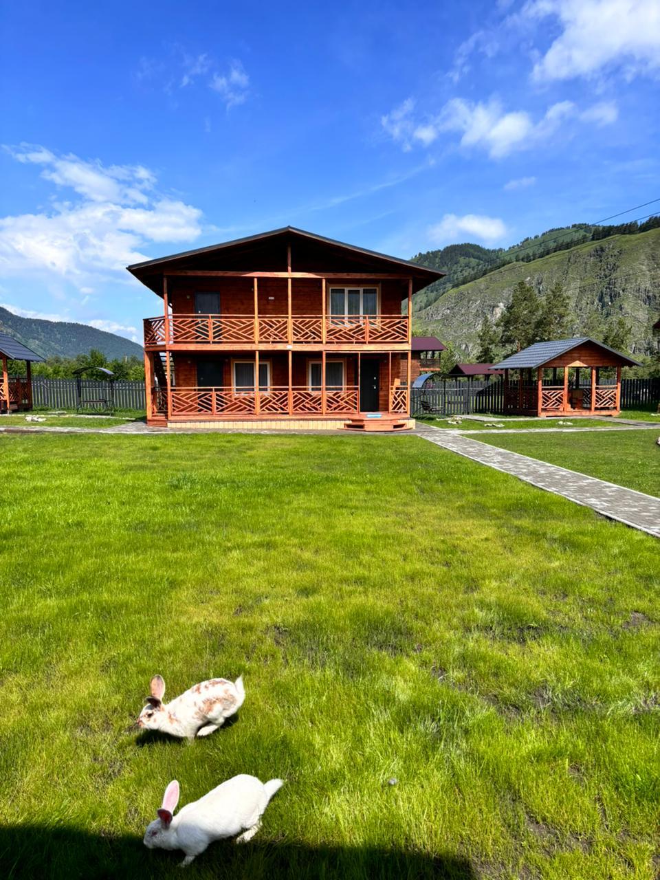 Фото Клубника & Мята