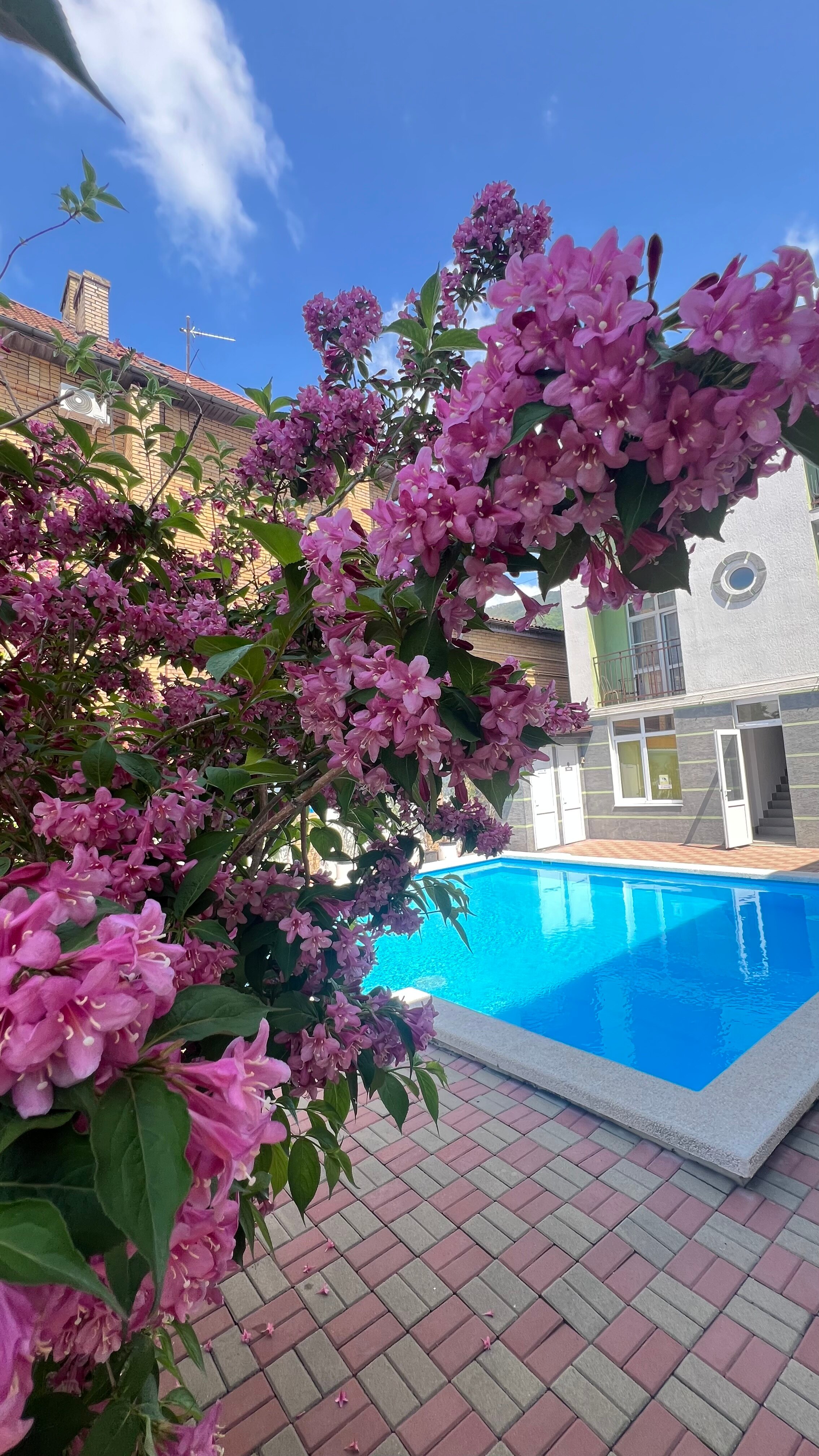 Фото У Боцмана