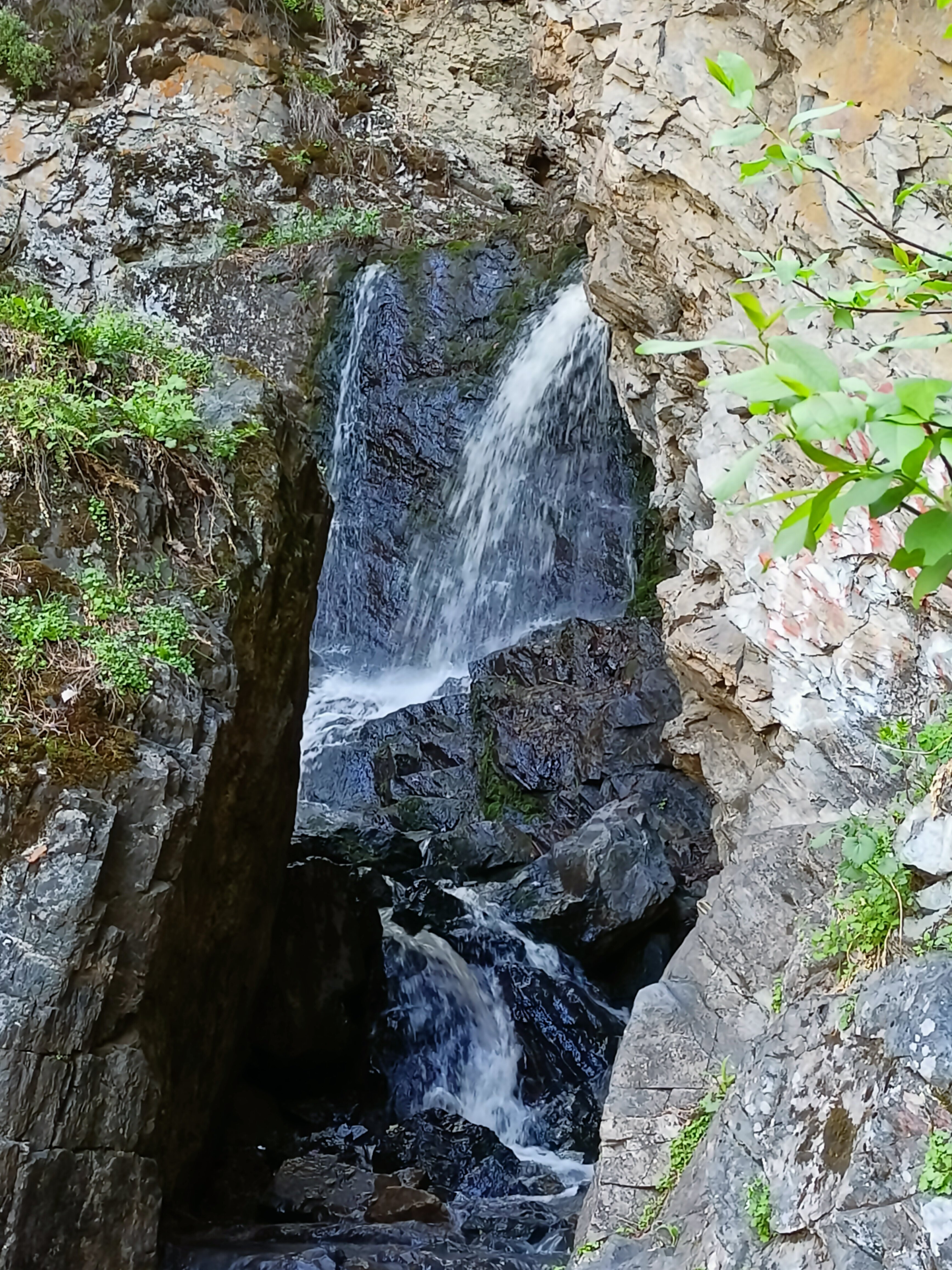 Фото Шикша
