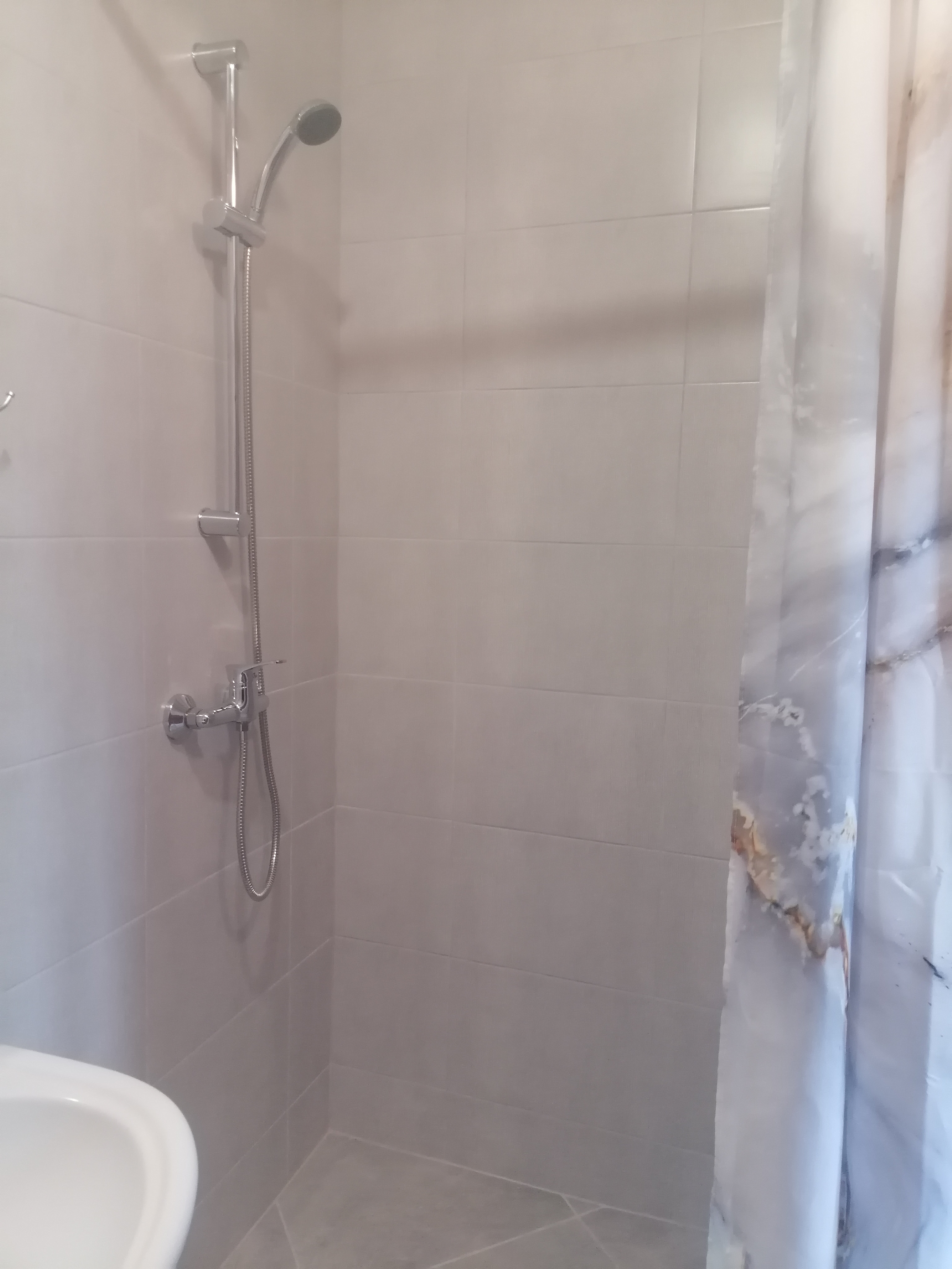 Фото Дельфин