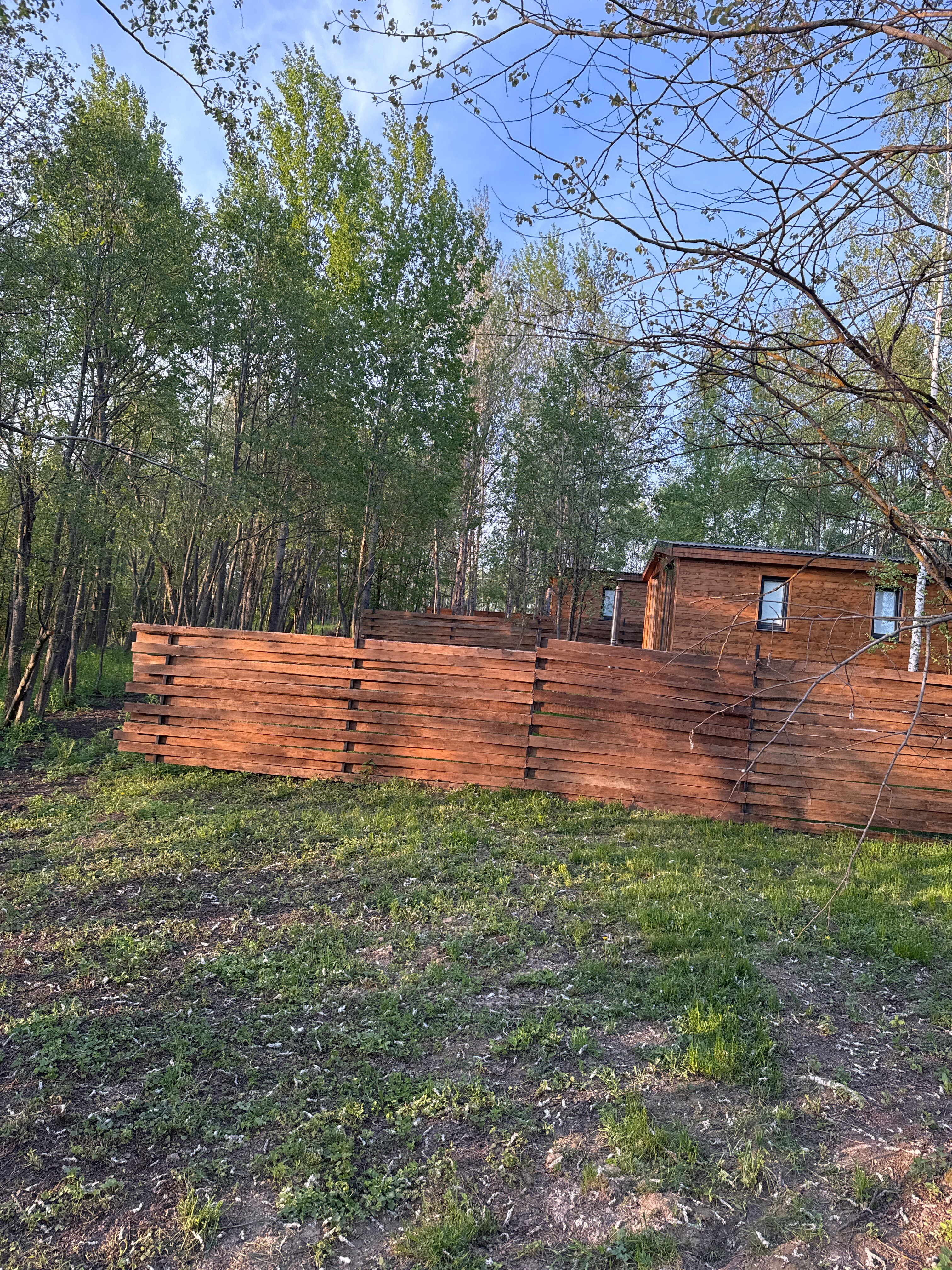 Фото My little forest