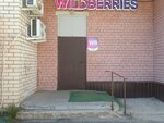 Wildberries (mikrorayon Davydovskiy-3, 16А), point of delivery