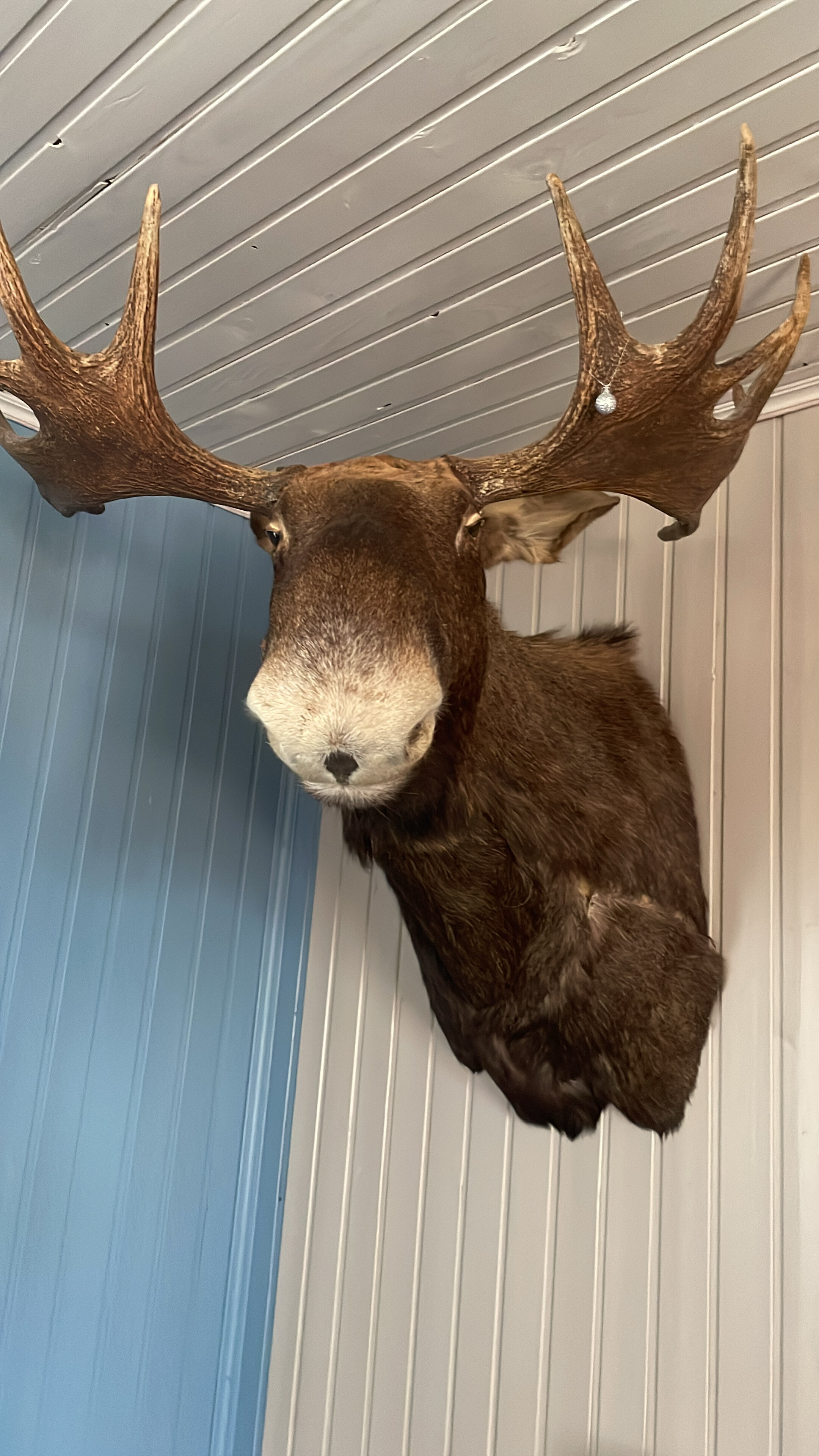 Фото Три дома у парома