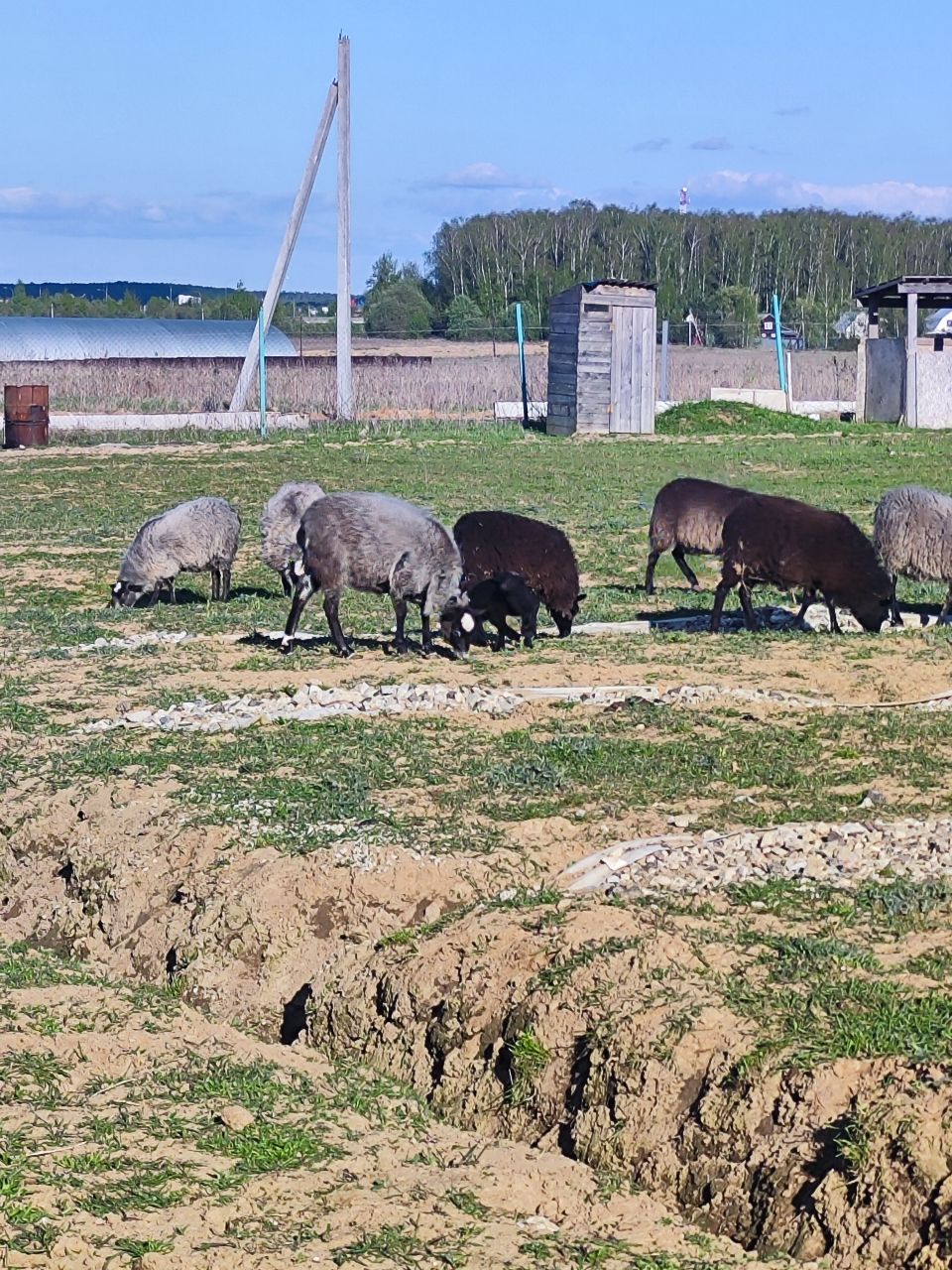 Фото Семейная экоферма