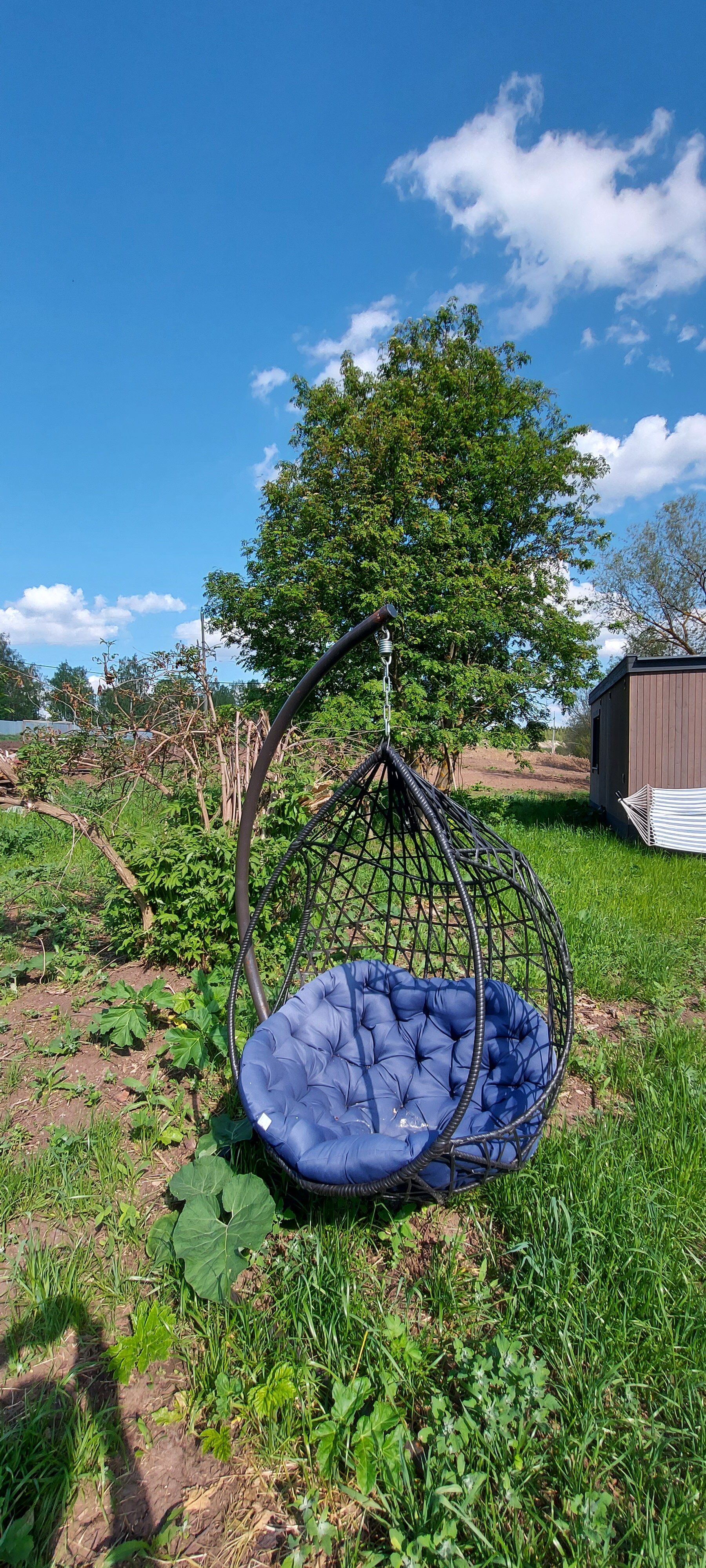 Фото Ёлки-Палки