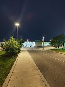 Экспотель