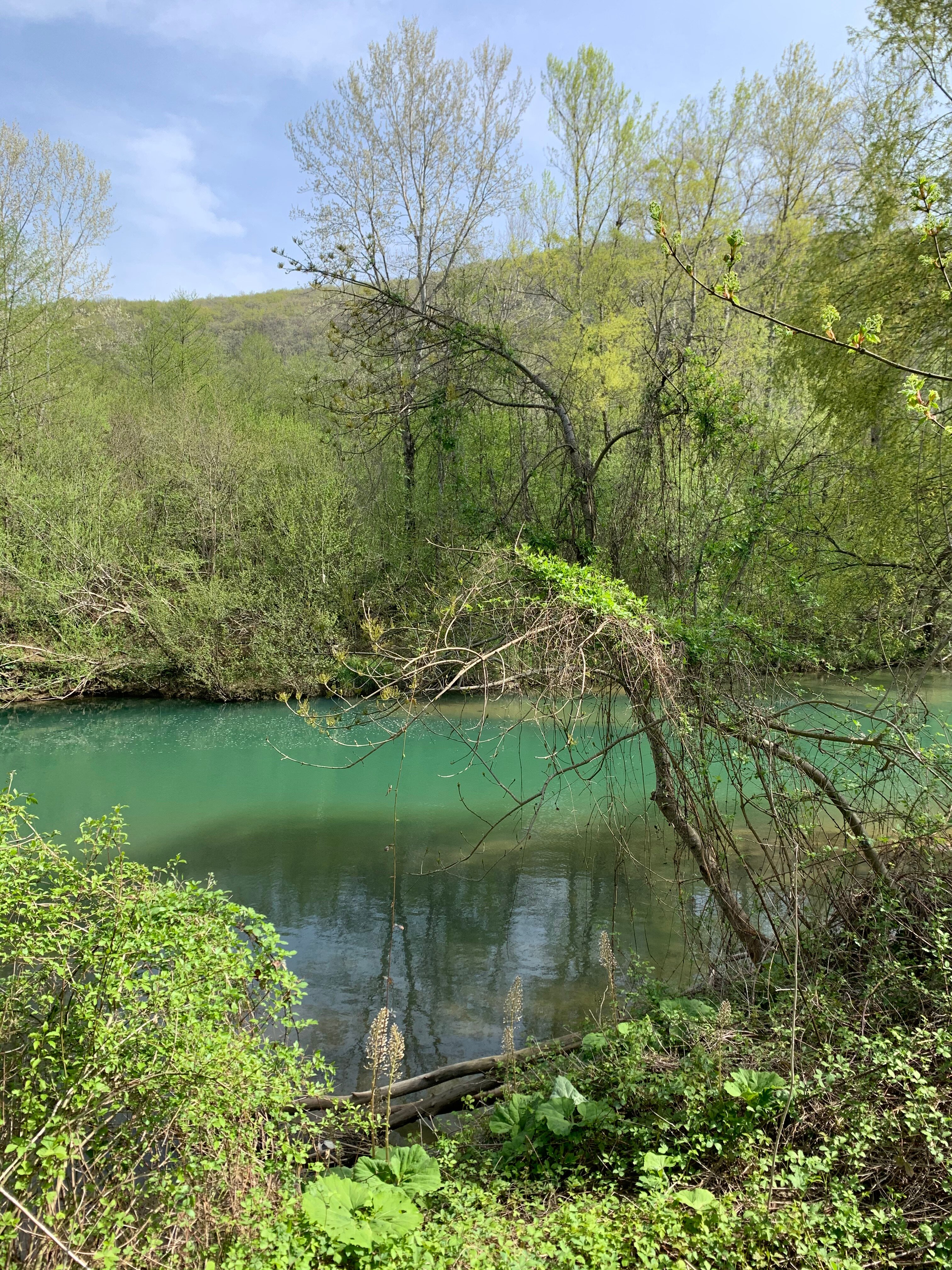 Фото Лазурный