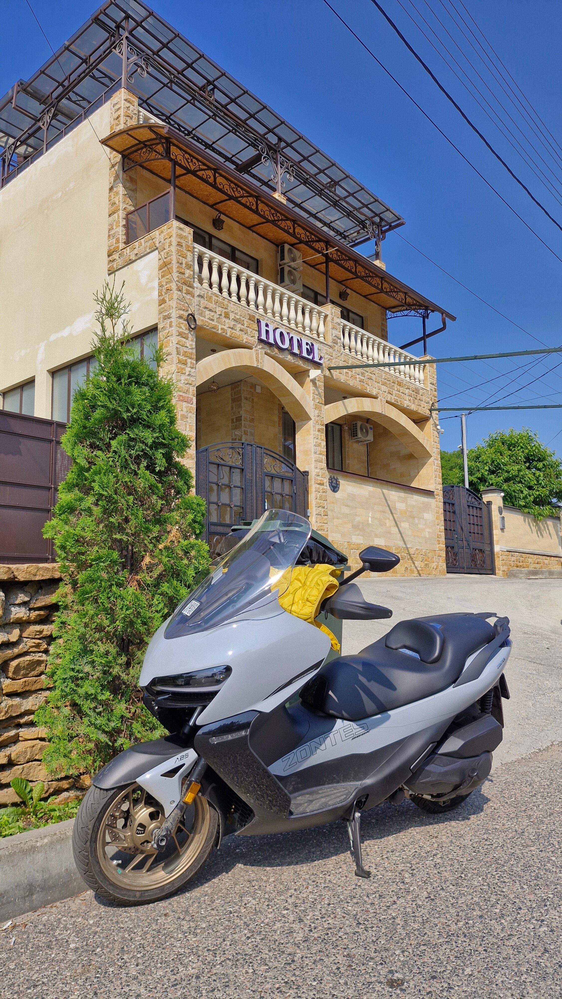 Фото Береза