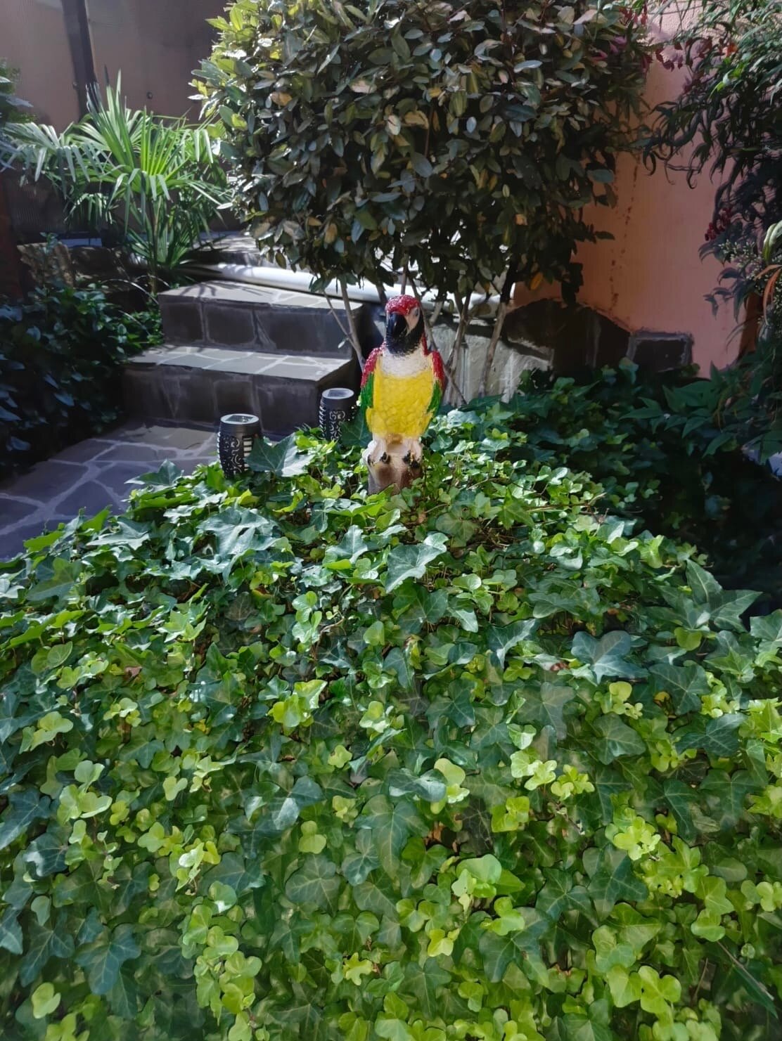 Фото Бамбуковый рай