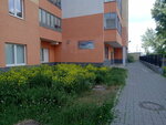 Электроспецавтоматика (Lyotchikov Street, 7) ، الأعمال الكهربائية