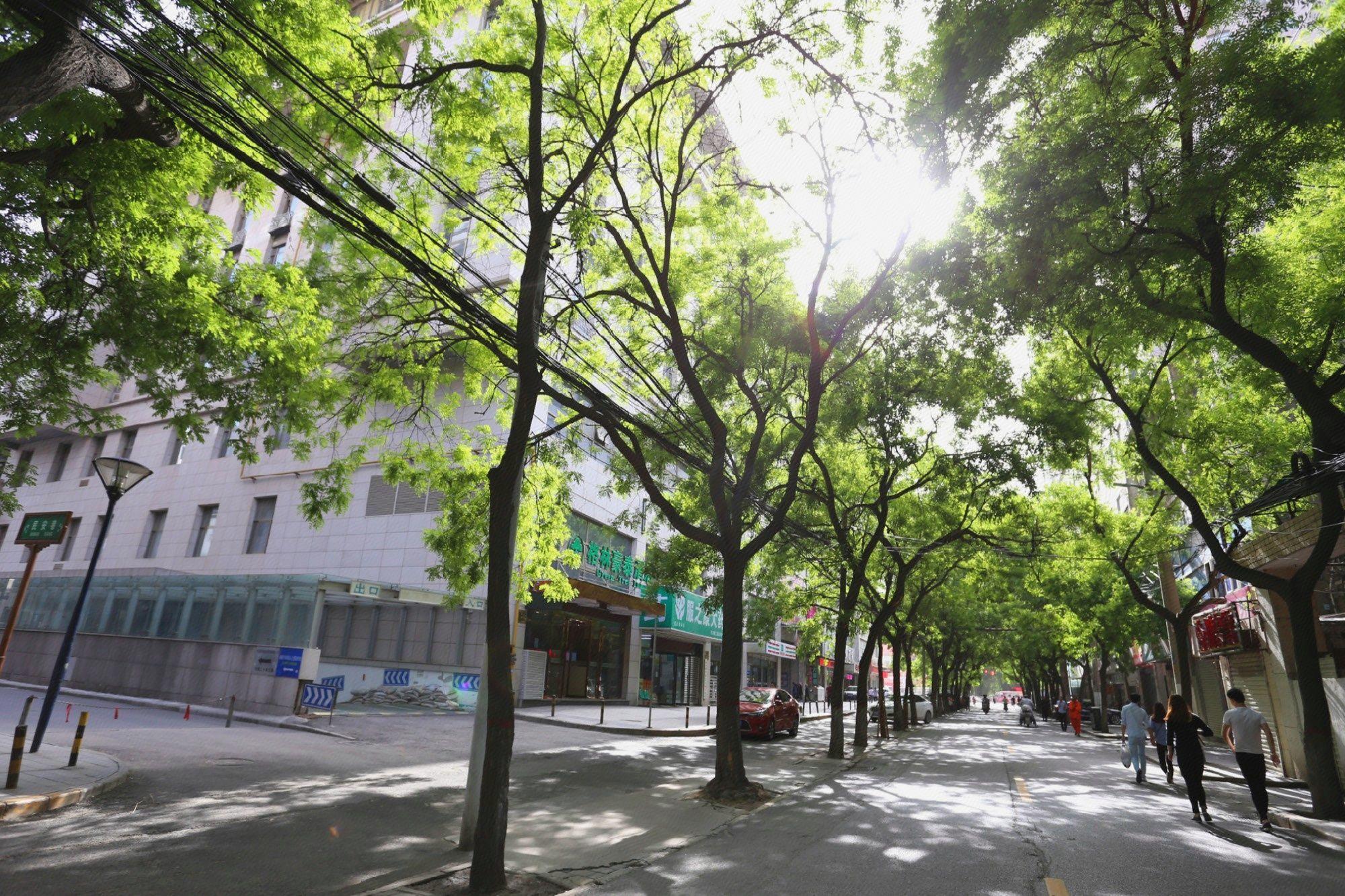 Фото GreenTree Inn XiAn Xincheng District Raily Station Wukou Metro Station Hotel