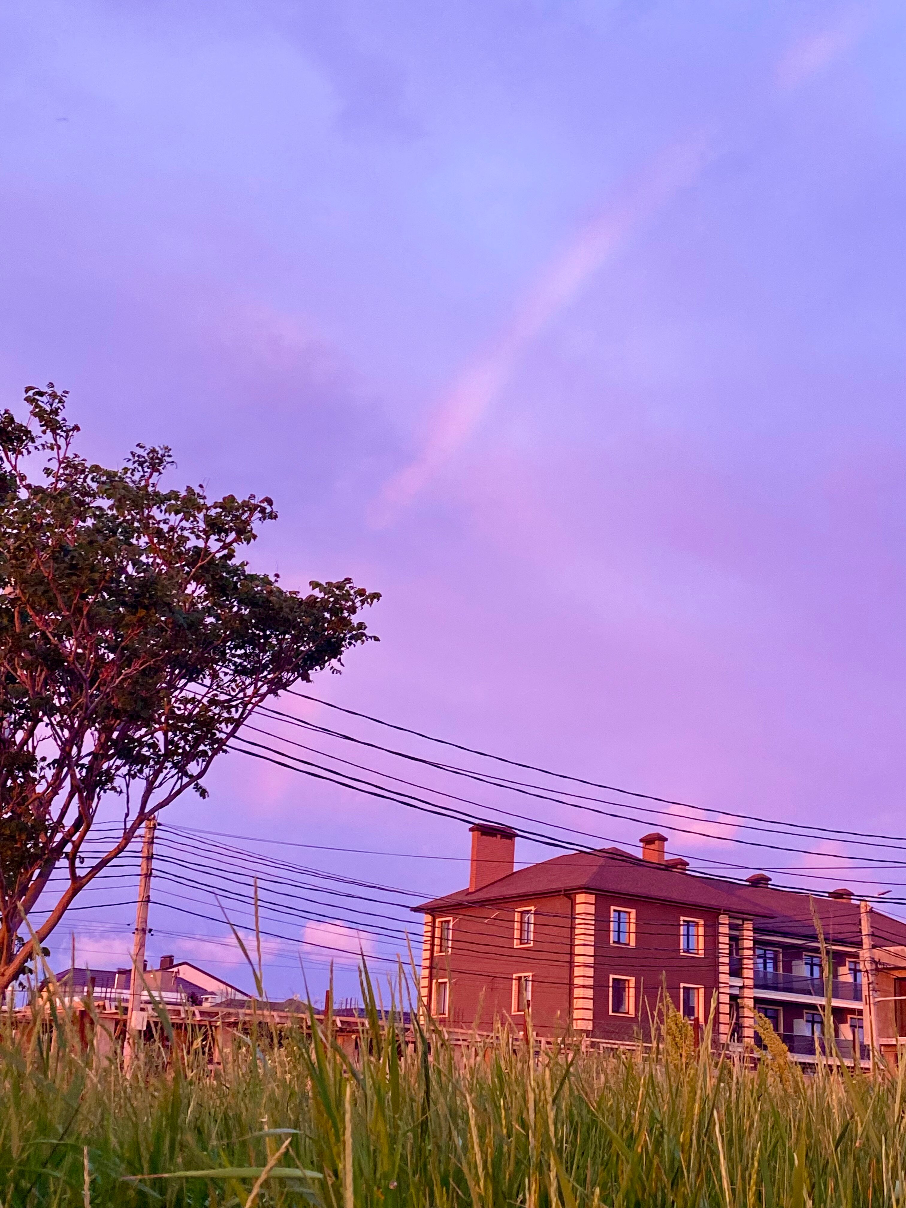 Фото Виколь