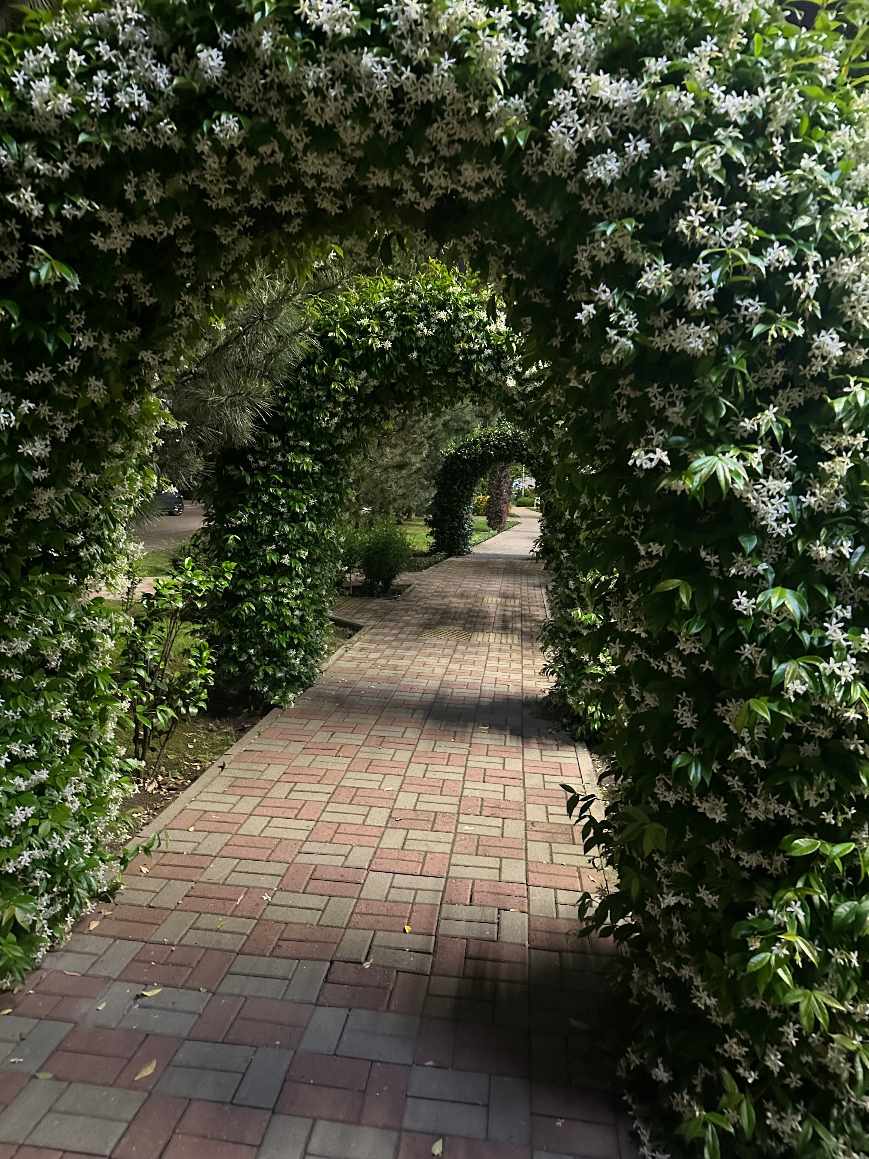 Фото Bridge Family