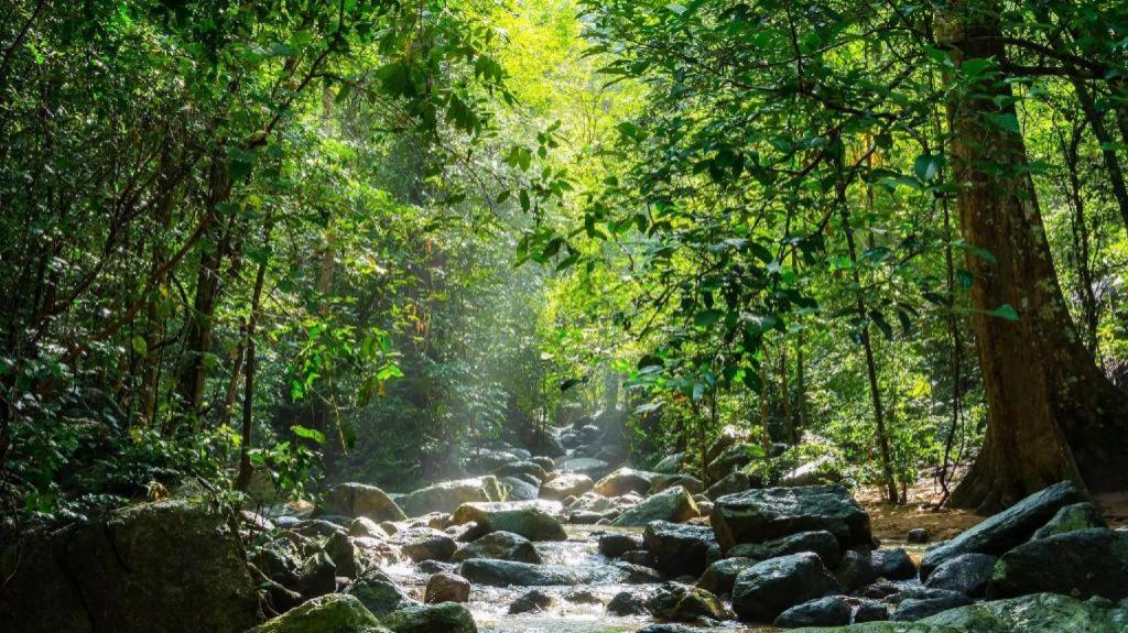 Фото Z2 Boutique Hotel