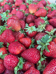 Perchik (Bolshaya Moskovskaya Street, 122к1/5), frutería