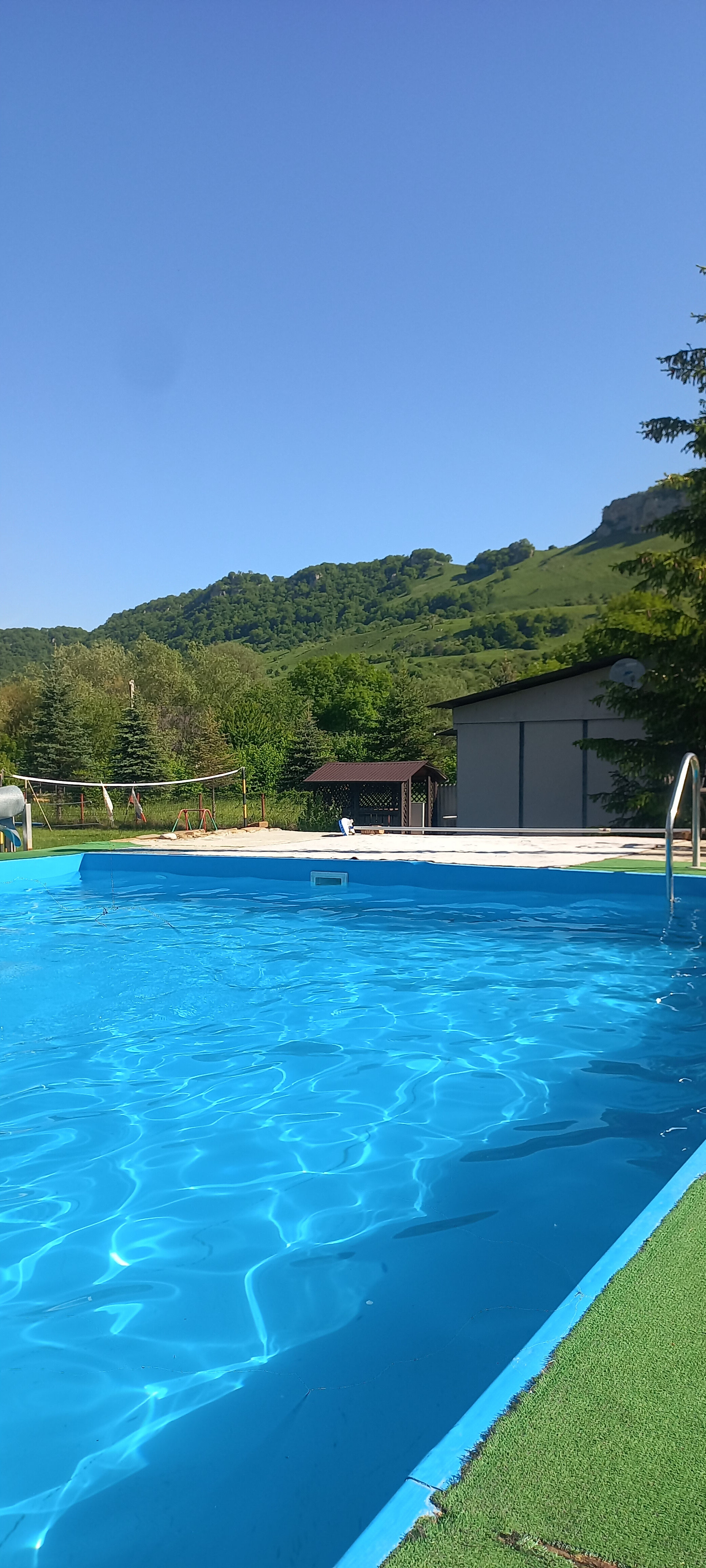 Фото Снежный Барс