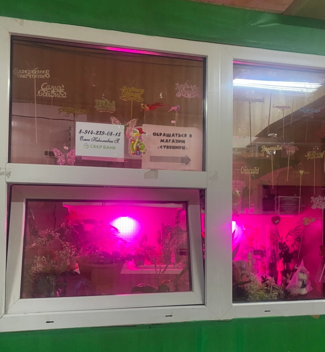 Фото Солнечная