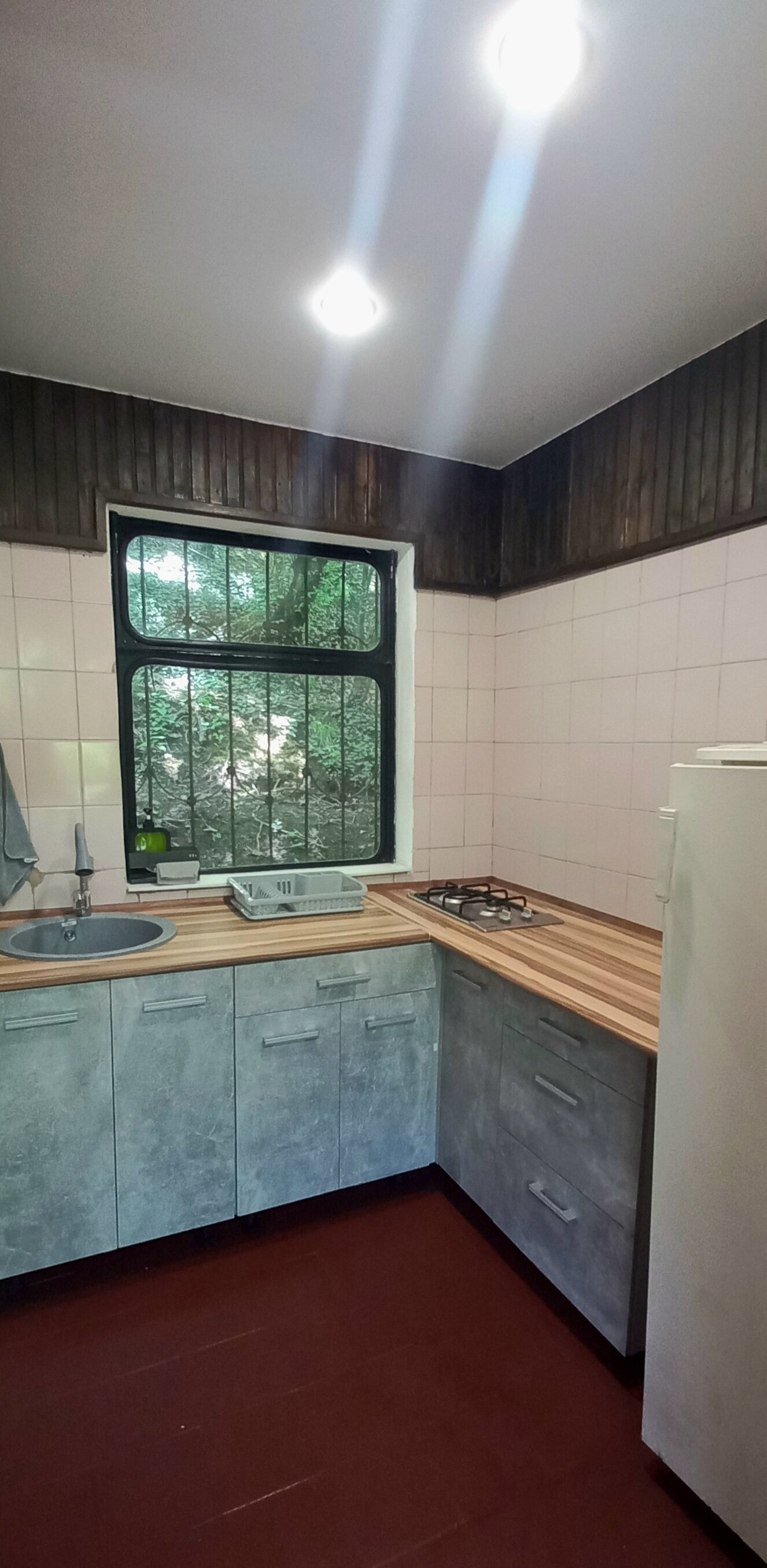 Фото Аммонит