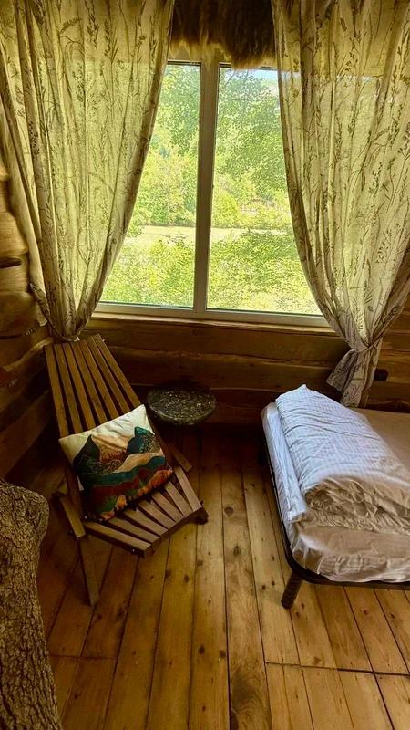 Фото Кактус Арт