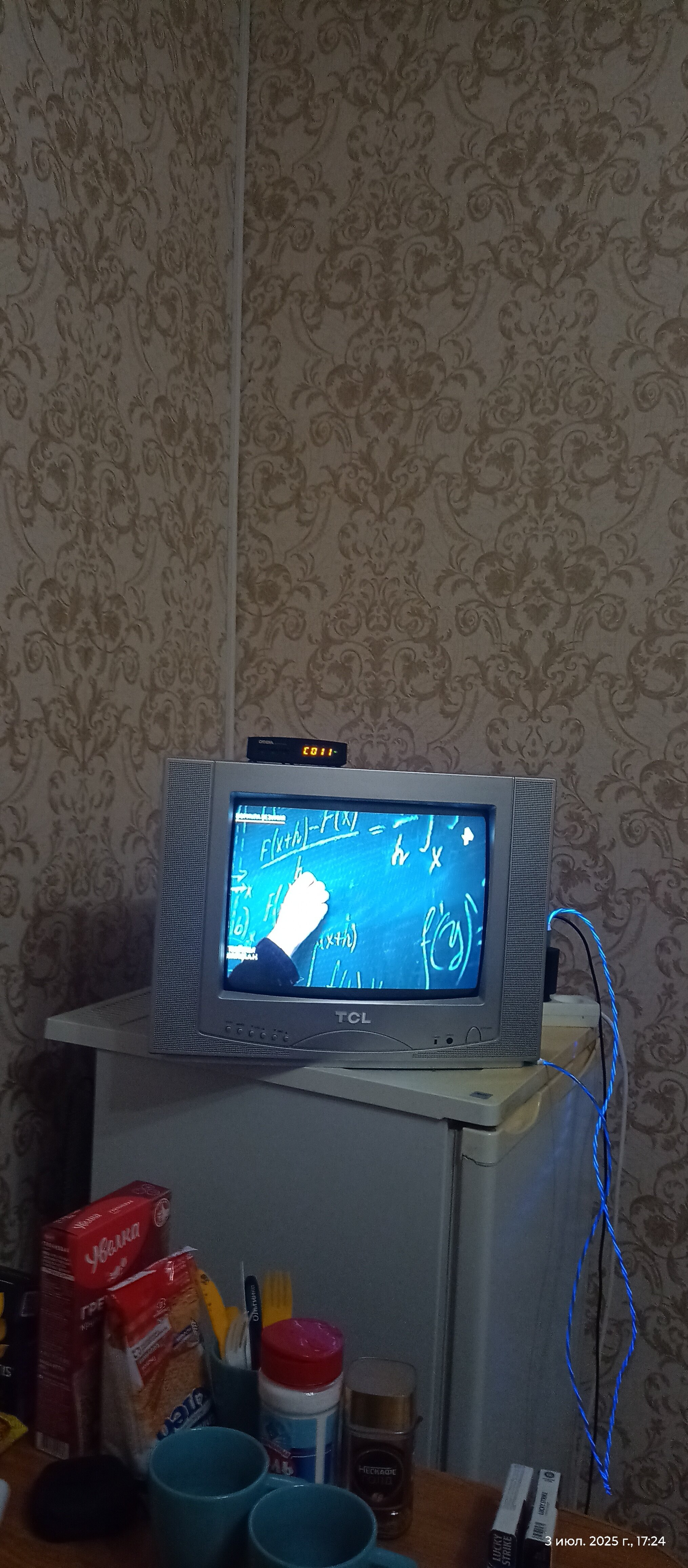 Фото Камелия