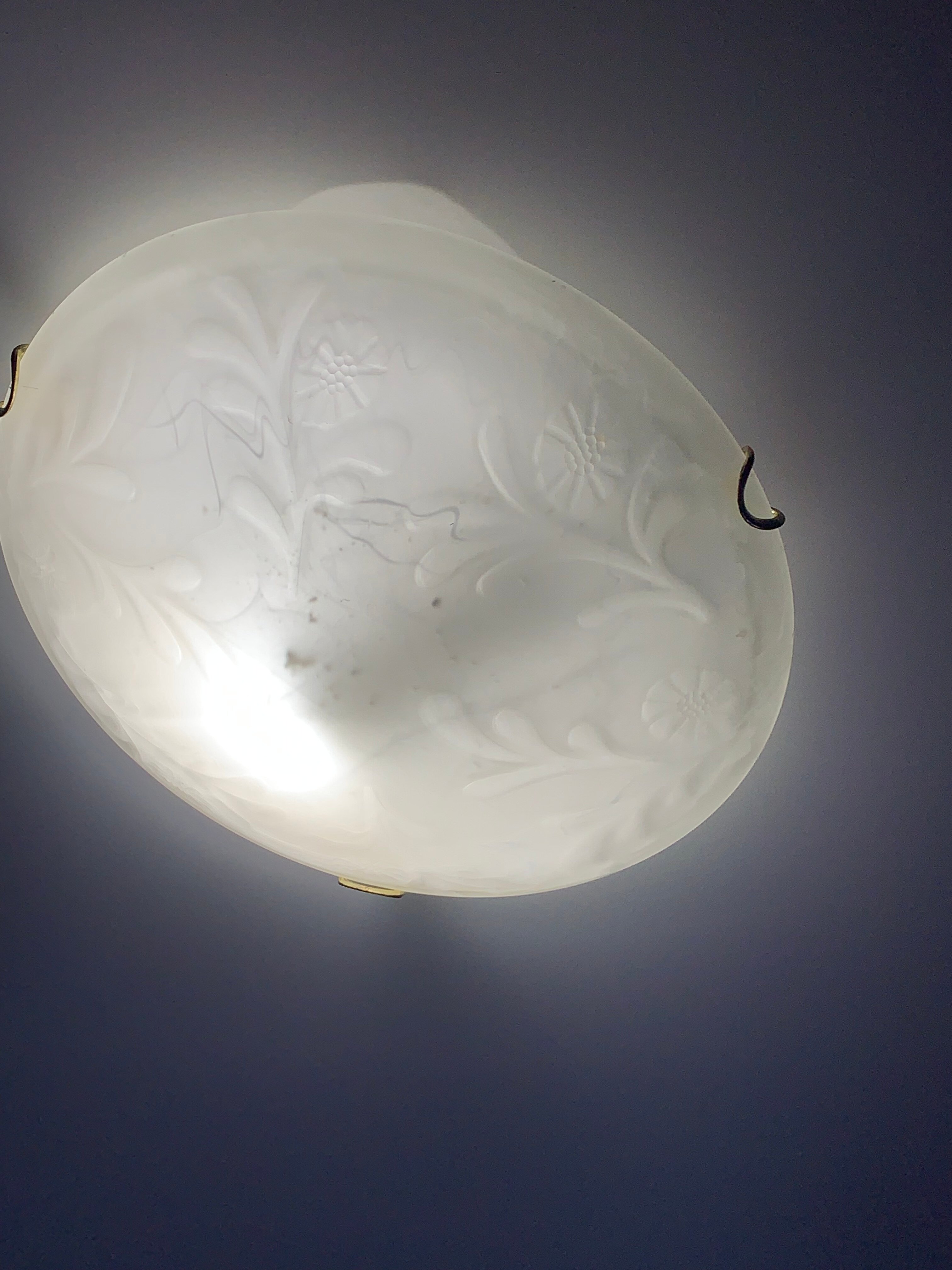 Фото Шинель