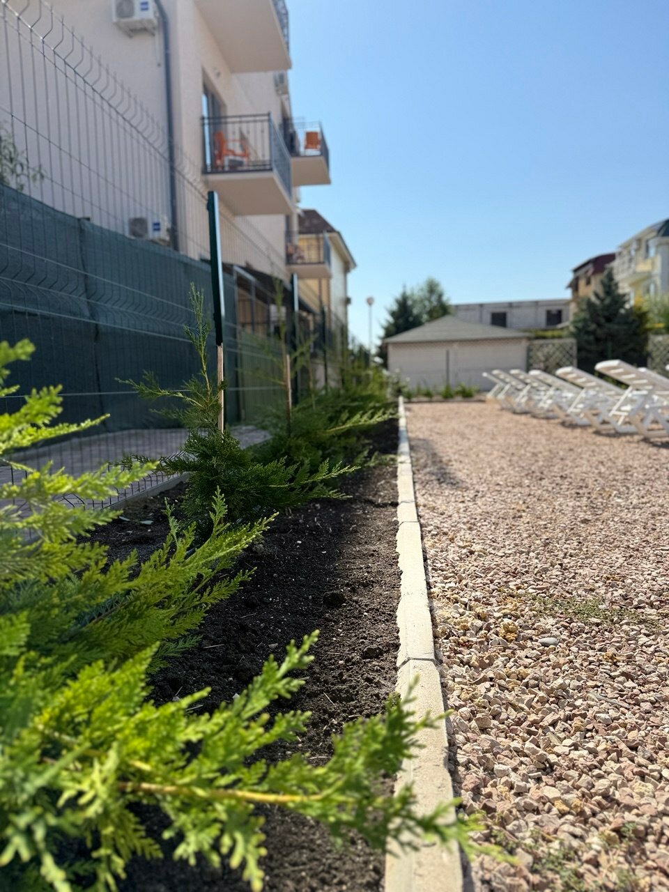 Фото Гармония