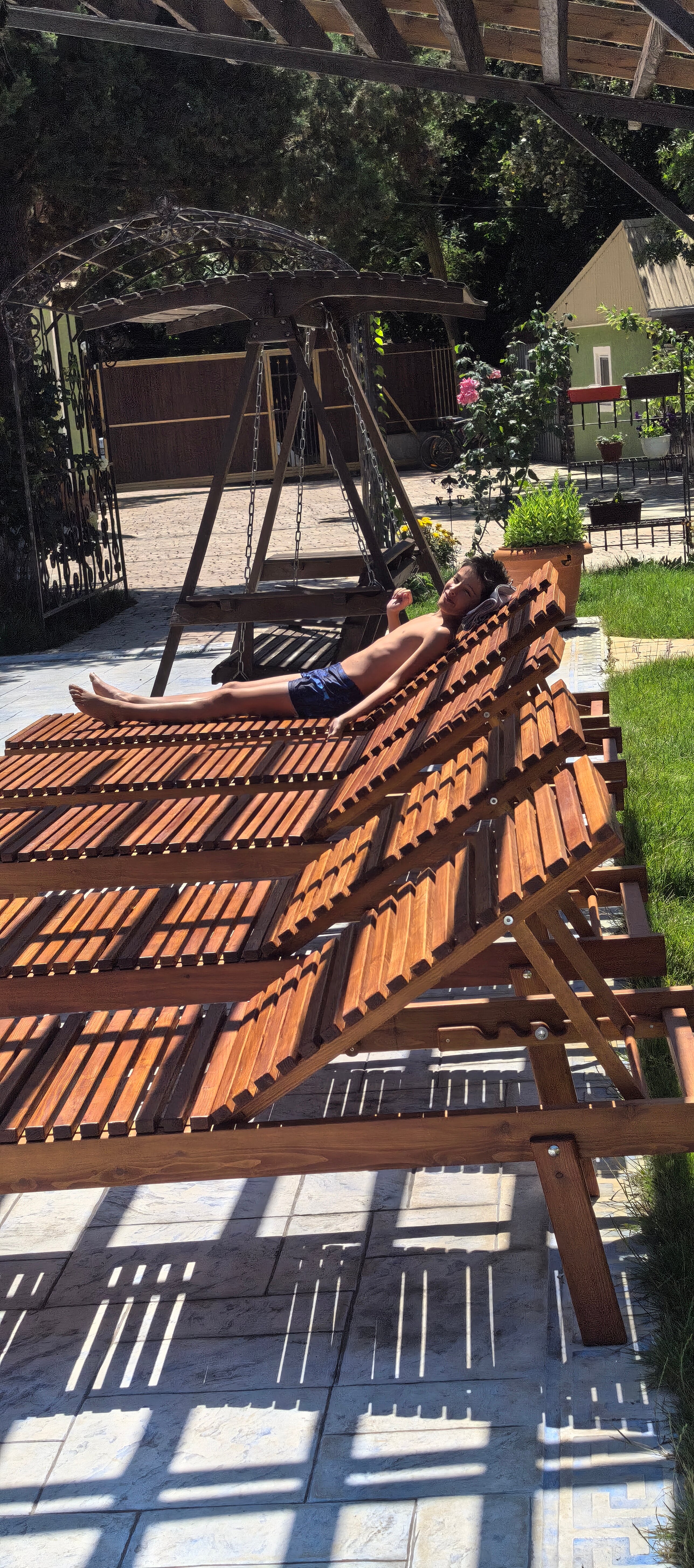 Фото Ромашка