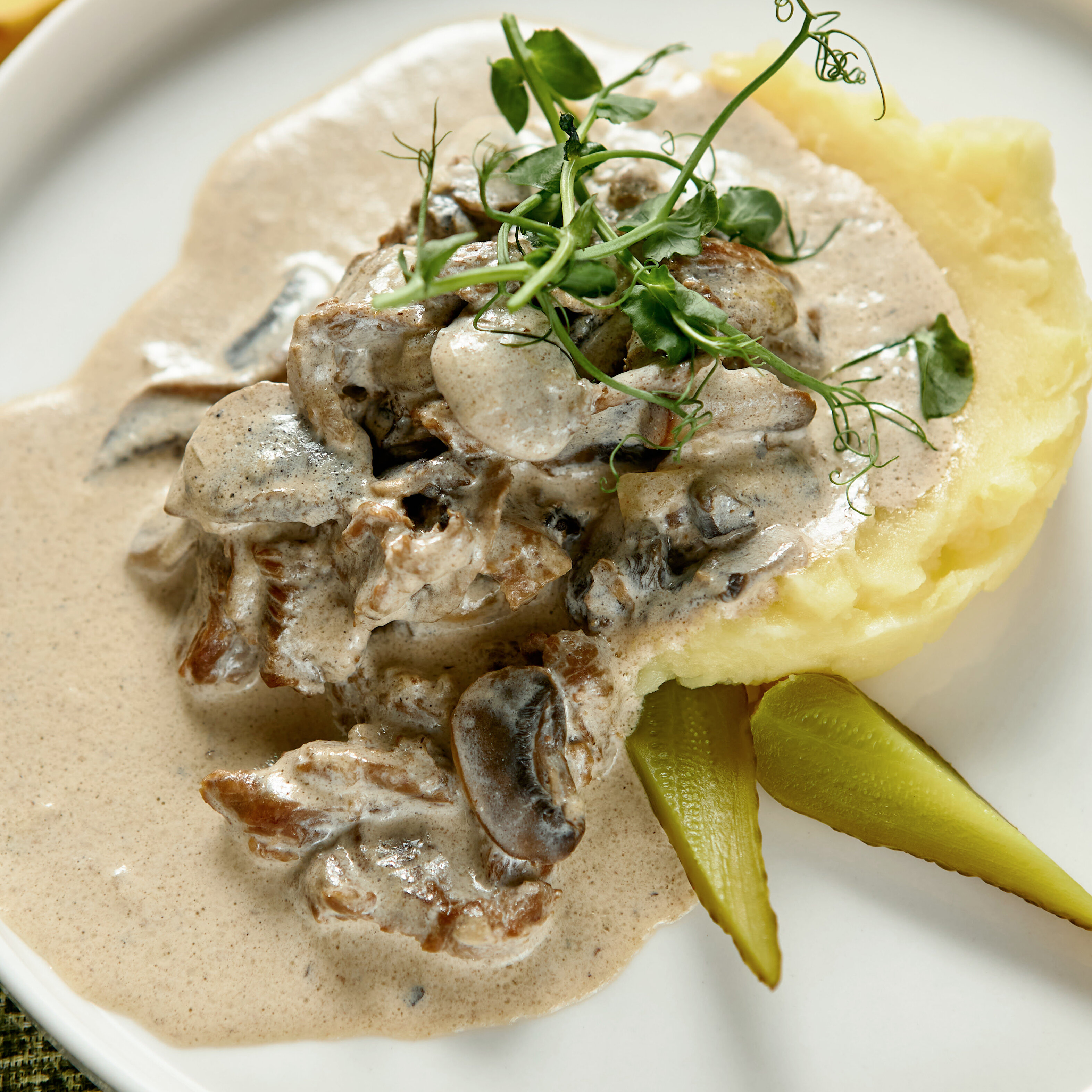 Фото Cosmos Smart Segezha