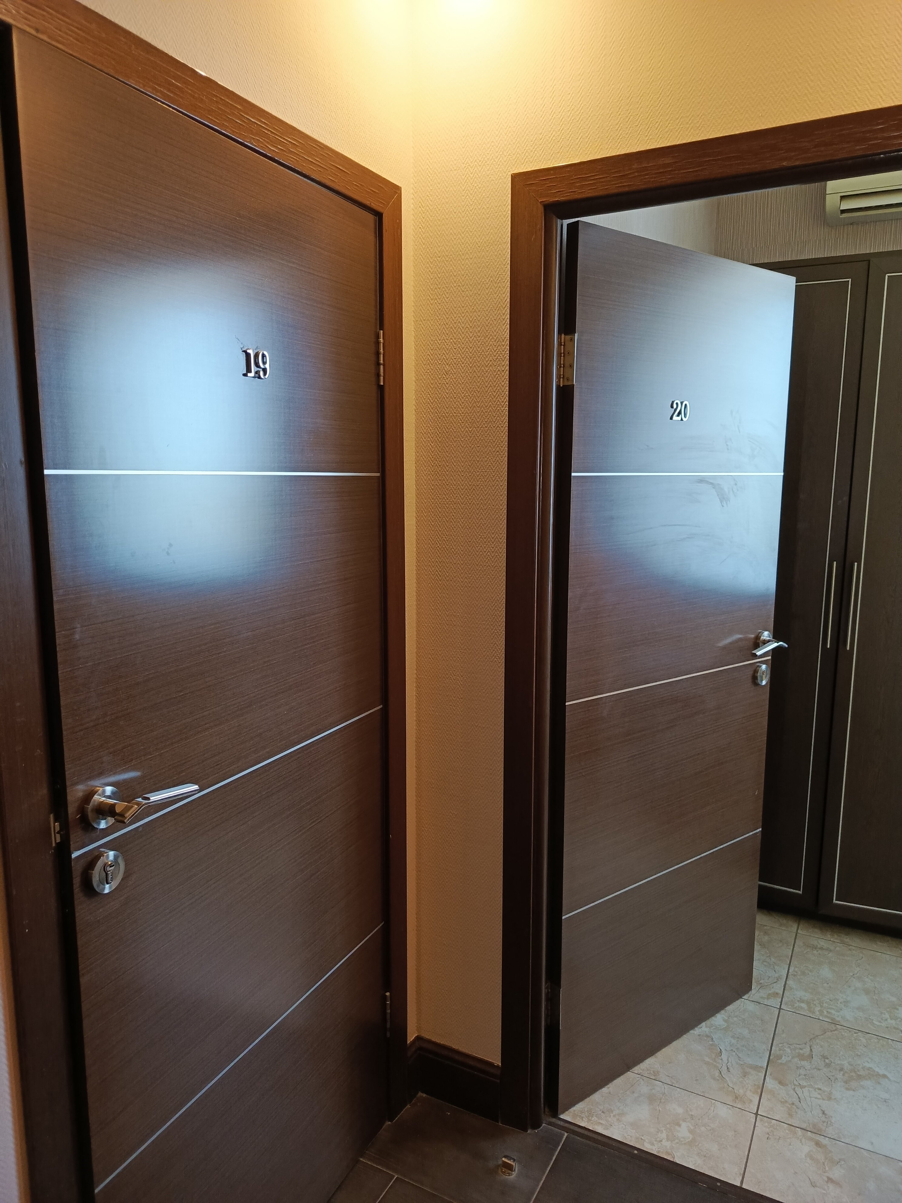 Фото Калина красная