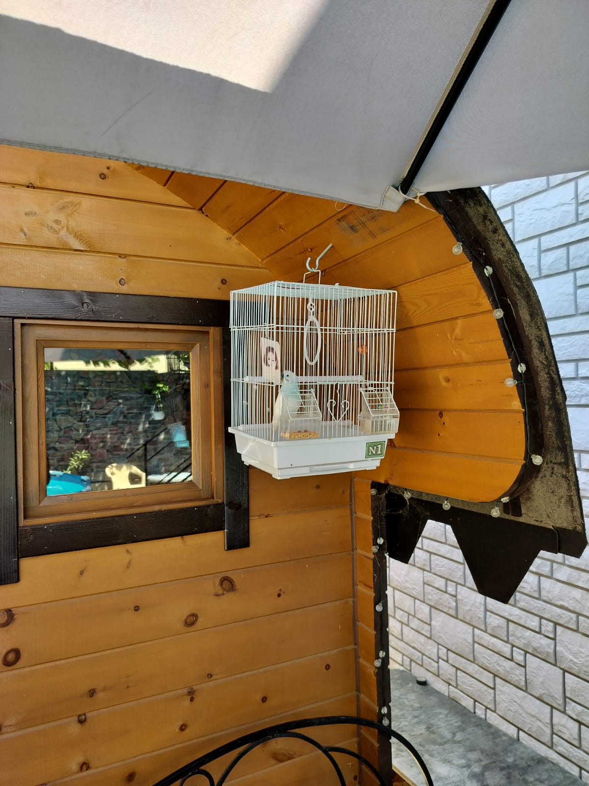 Фото Совёнок