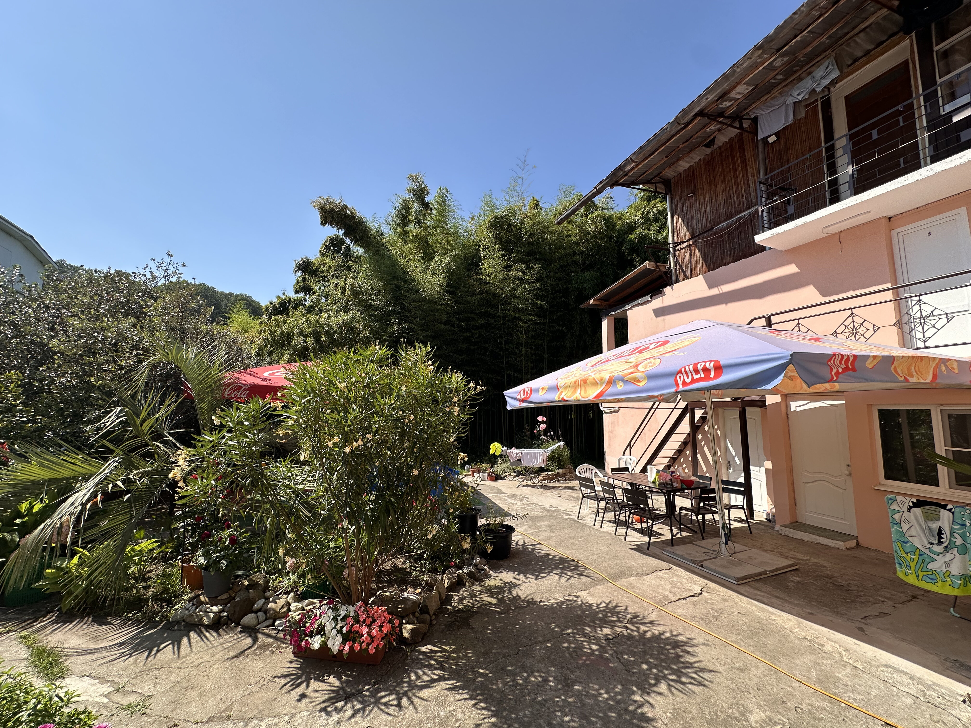 Фото Бамбуковая Роща