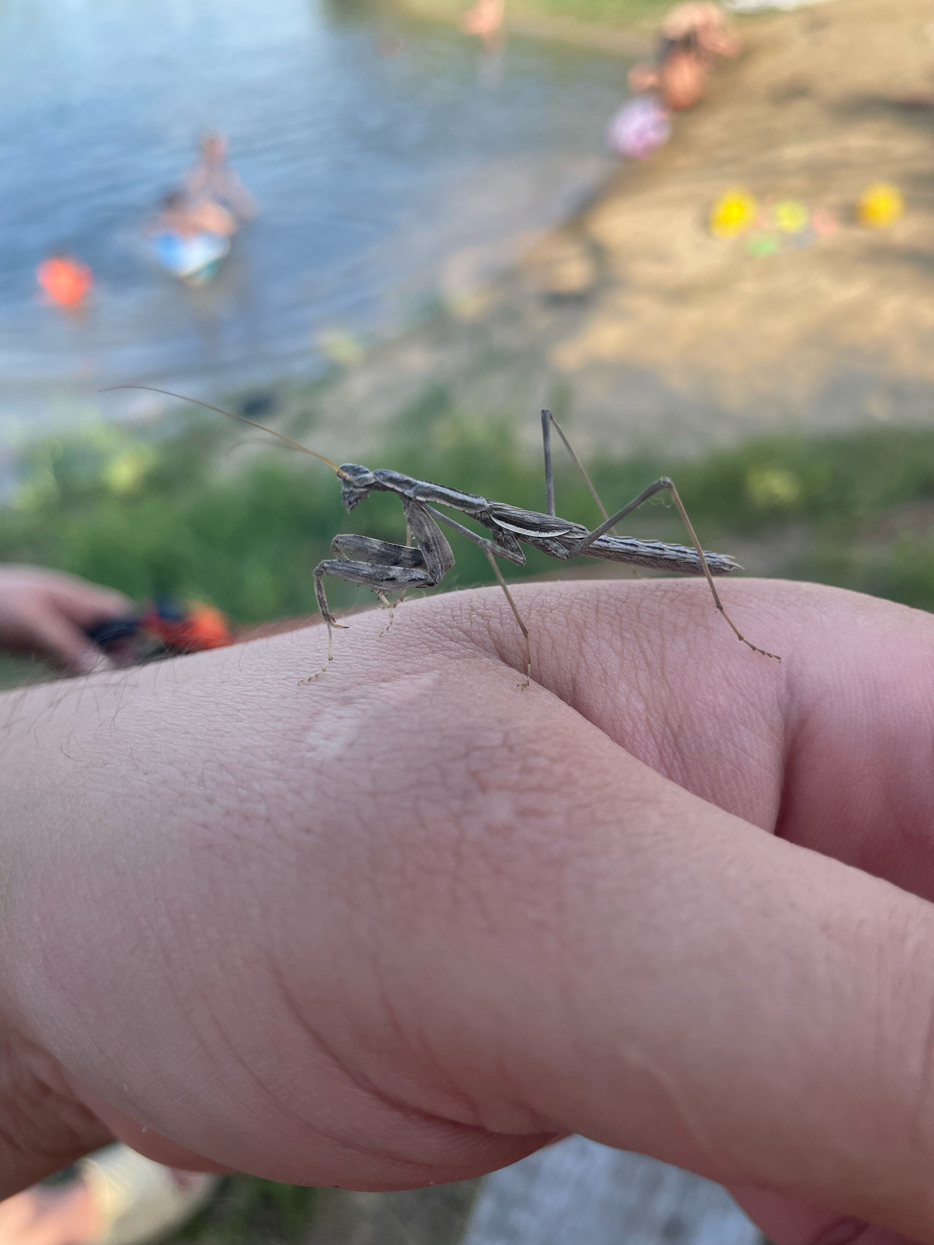 Фото Орловский пруд
