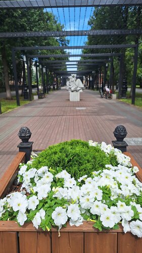 Менің камераммен порно